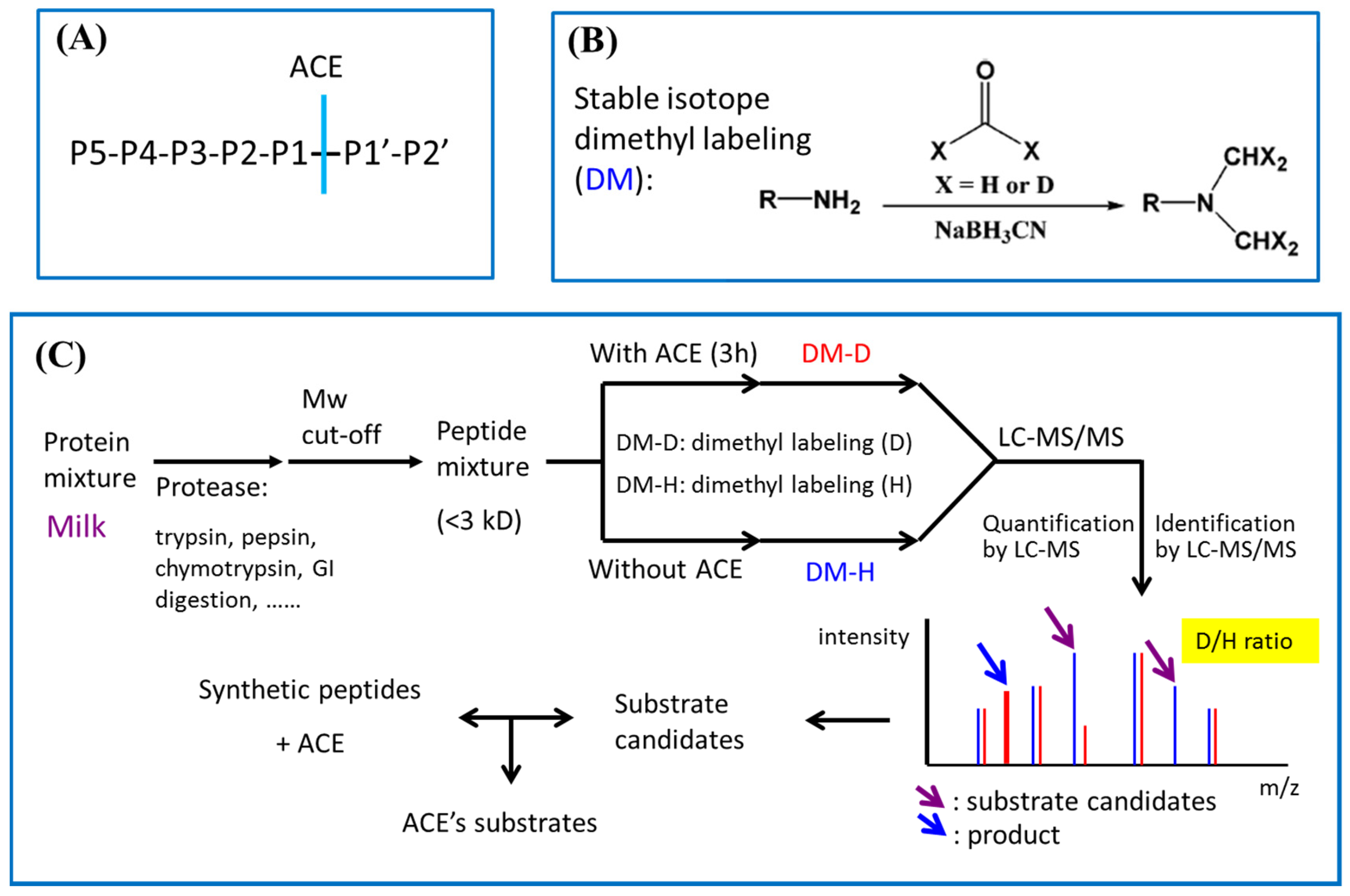 Pharmaceutics 15 00425 g001