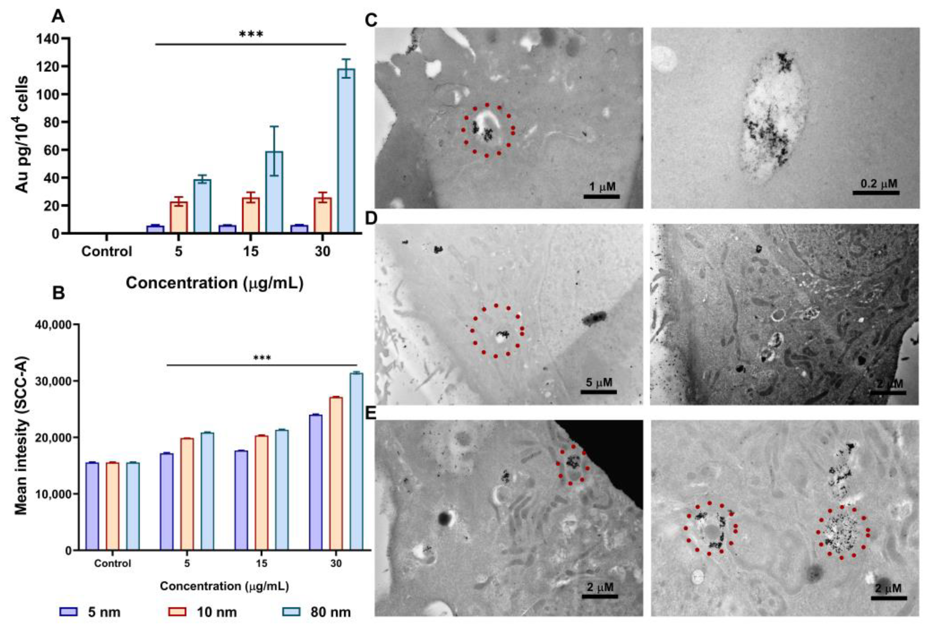 Pharmaceutics 15 00432 g003
