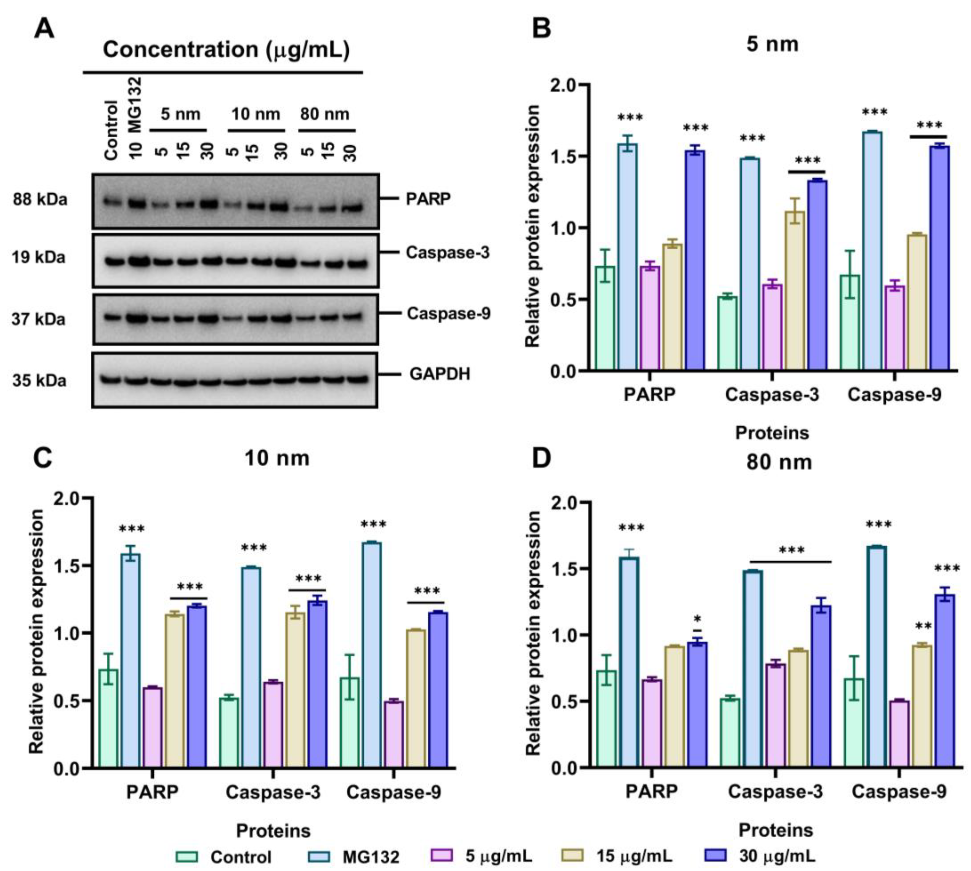Pharmaceutics 15 00432 g008