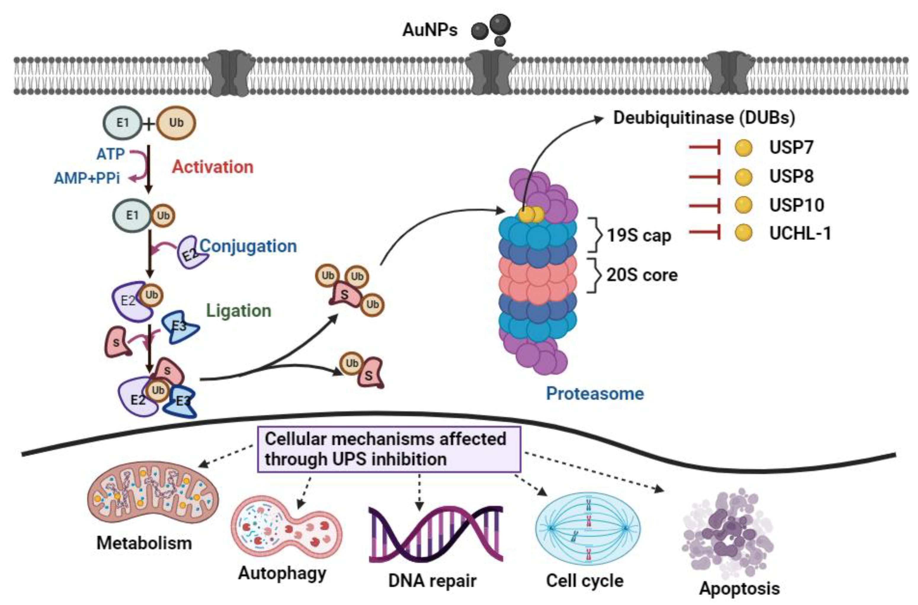 Pharmaceutics 15 00432 sch001