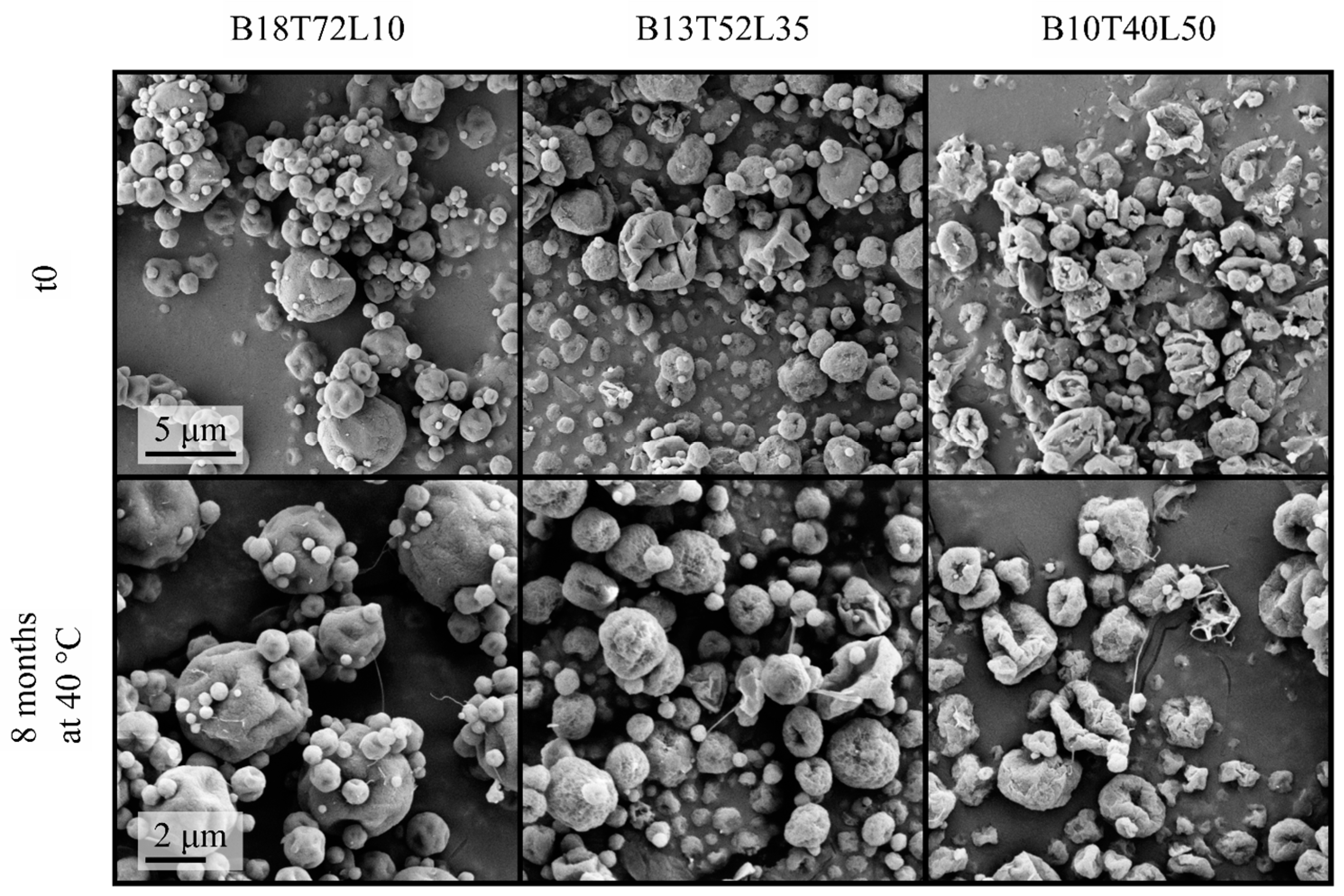 Pharmaceutics 15 00435 g002 Pharmaceutics 15 00435 g002
