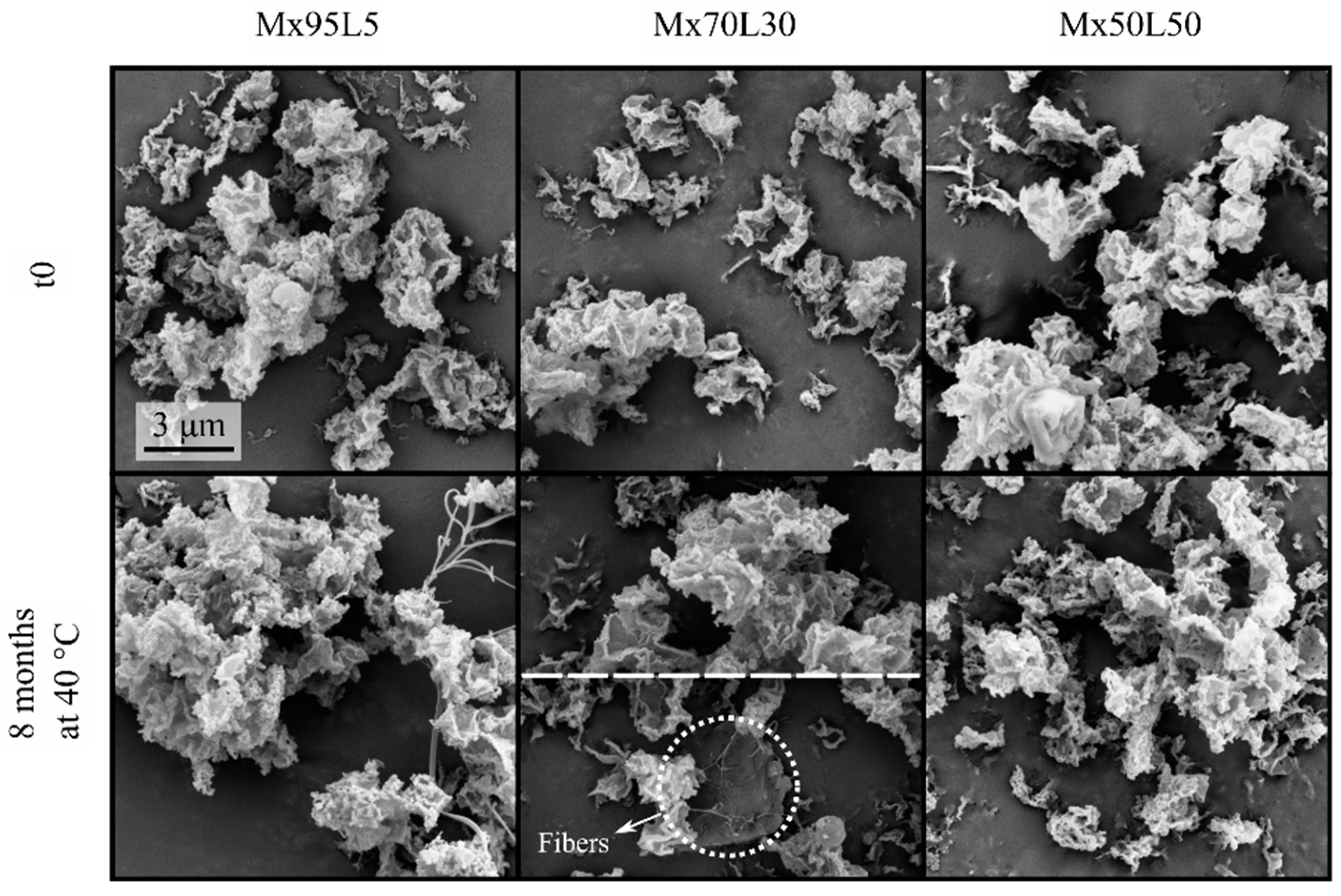 Pharmaceutics 15 00435 g004 Pharmaceutics 15 00435 g004