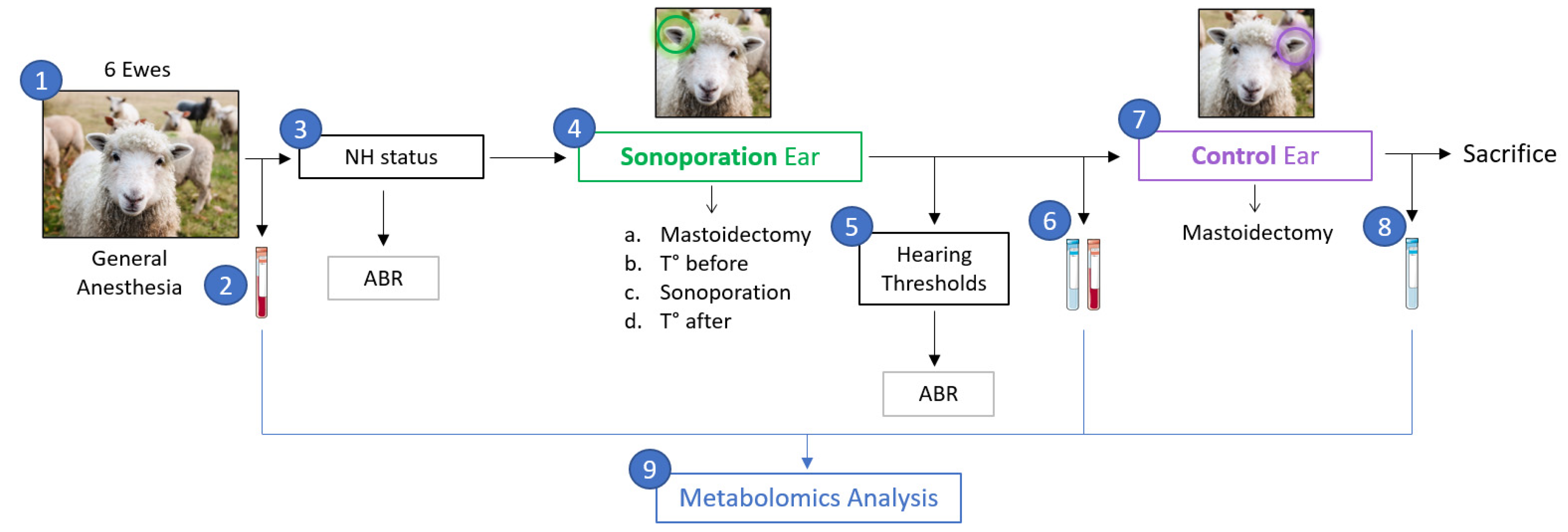 Pharmaceutics 15 00442 g001
