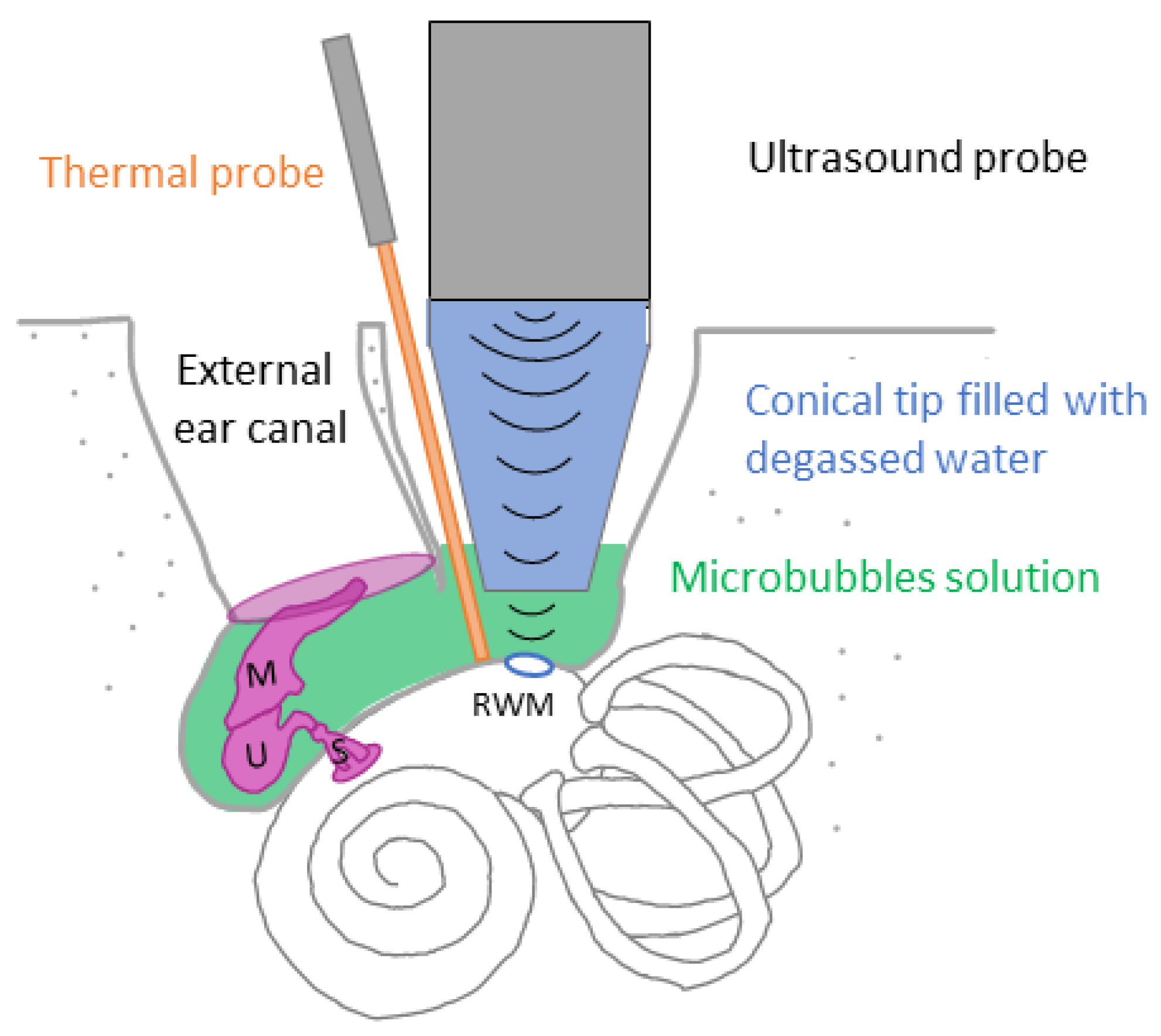 Pharmaceutics 15 00442 g003
