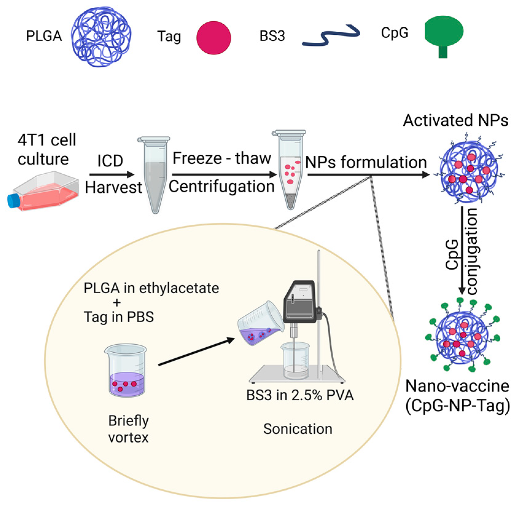 Pharmaceutics 15 00445 g001 Pharmaceutics 15 00445 g001