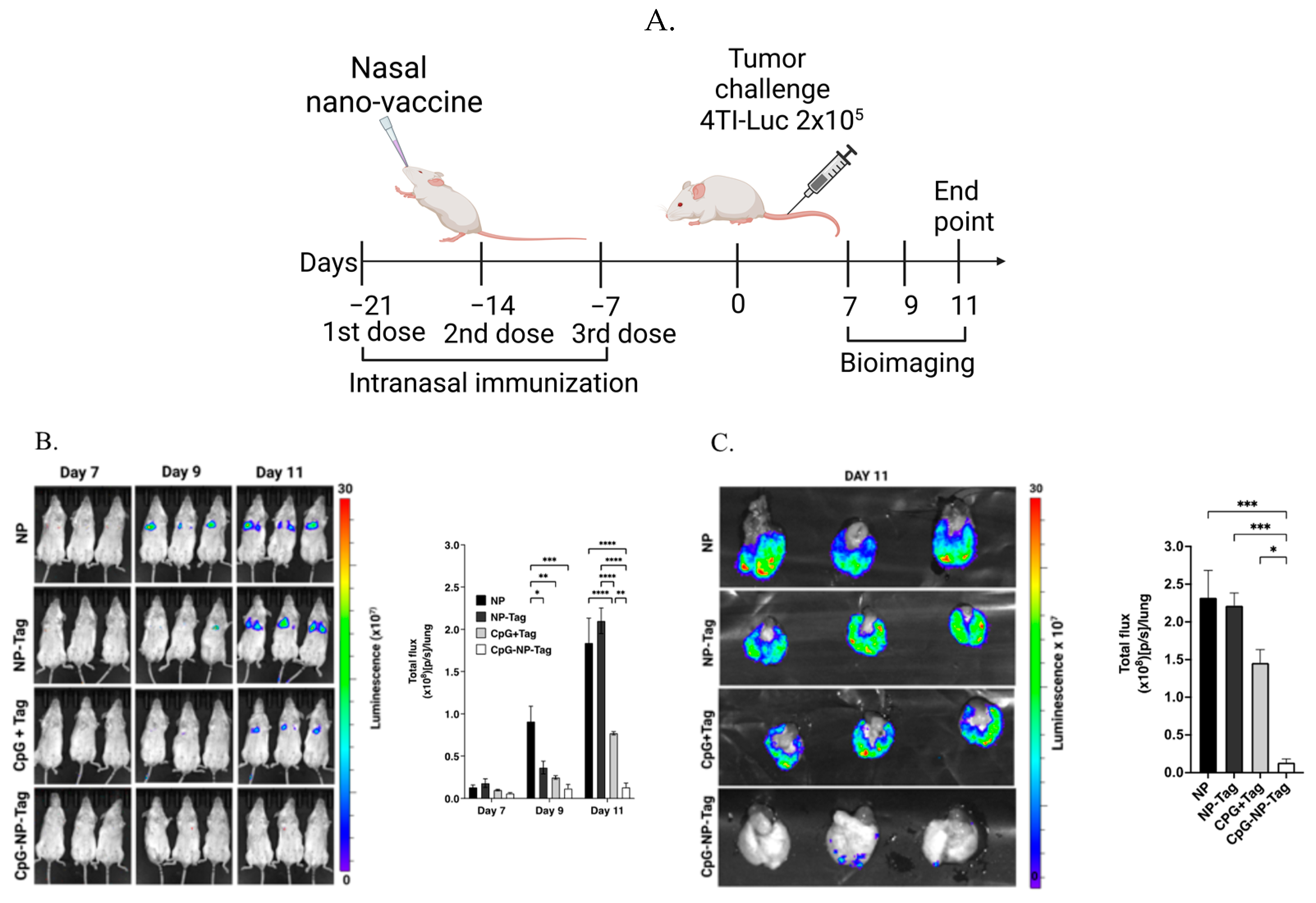 Pharmaceutics 15 00445 g002 Pharmaceutics 15 00445 g002