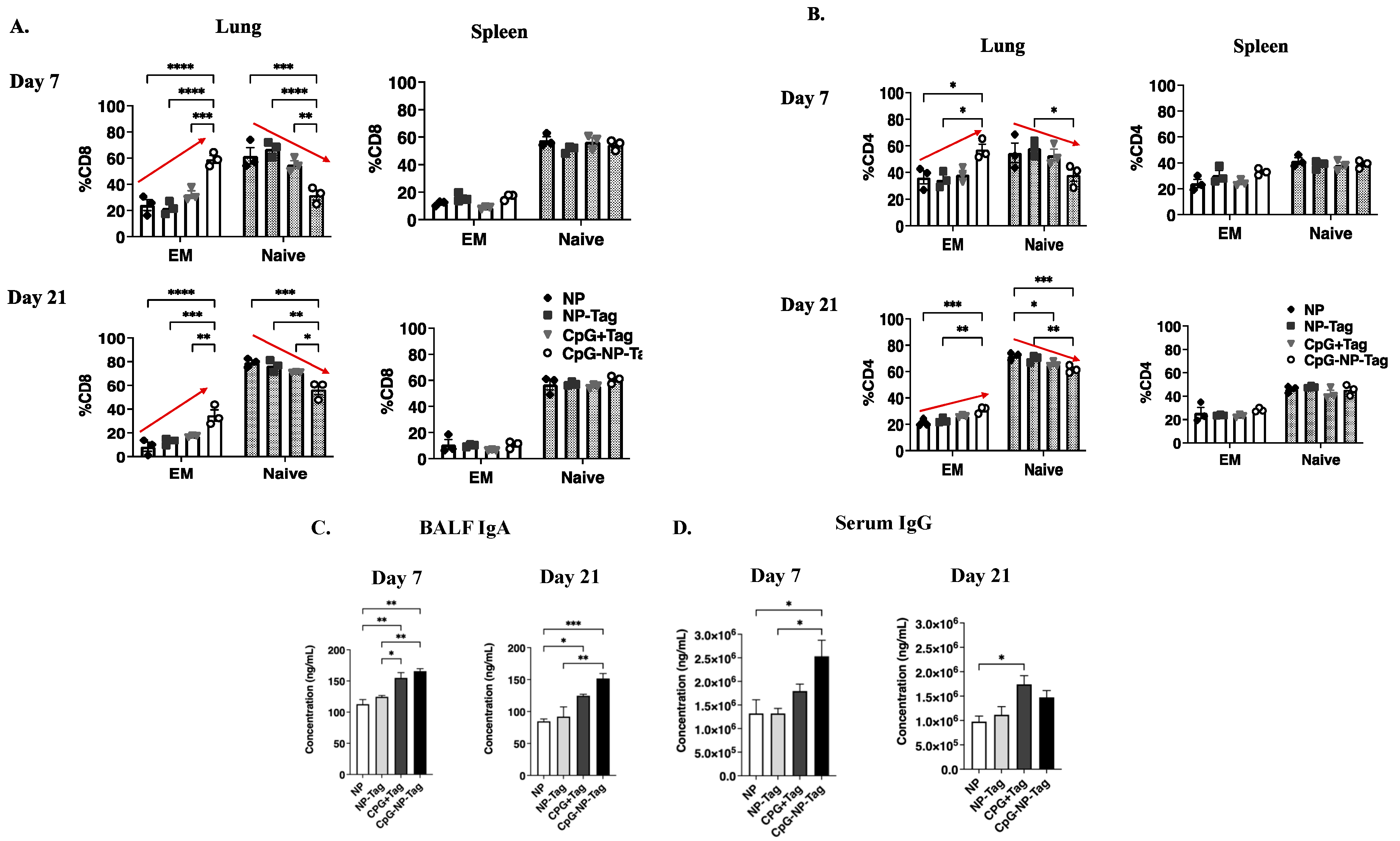 Pharmaceutics 15 00445 g005 Pharmaceutics 15 00445 g005