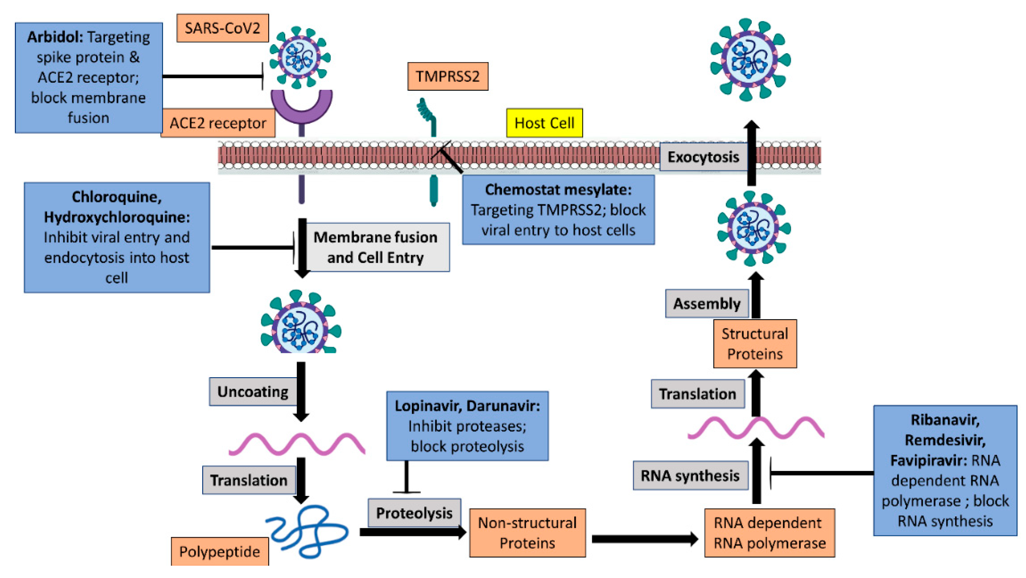 Pharmaceutics 15 00451 g002
