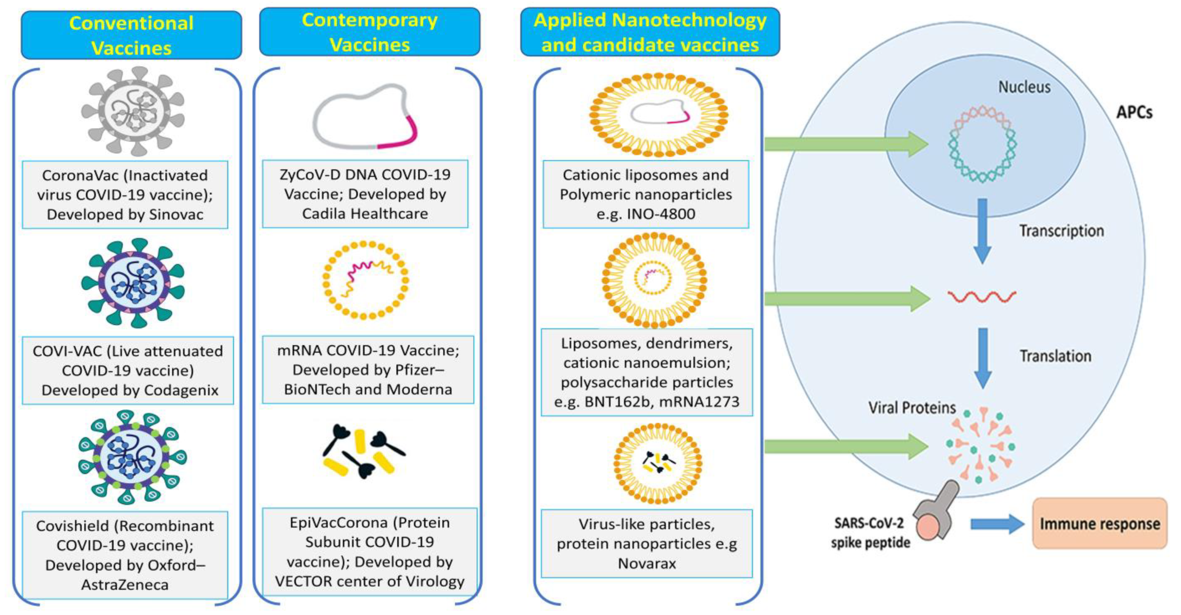 Pharmaceutics 15 00451 g003