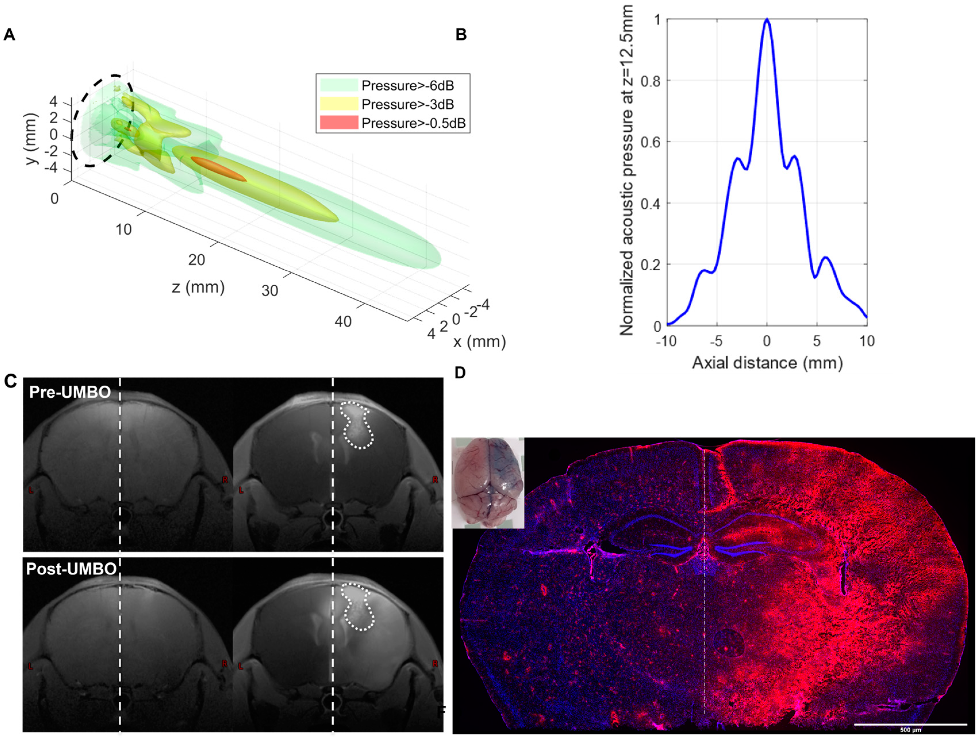Pharmaceutics 15 00455 g001