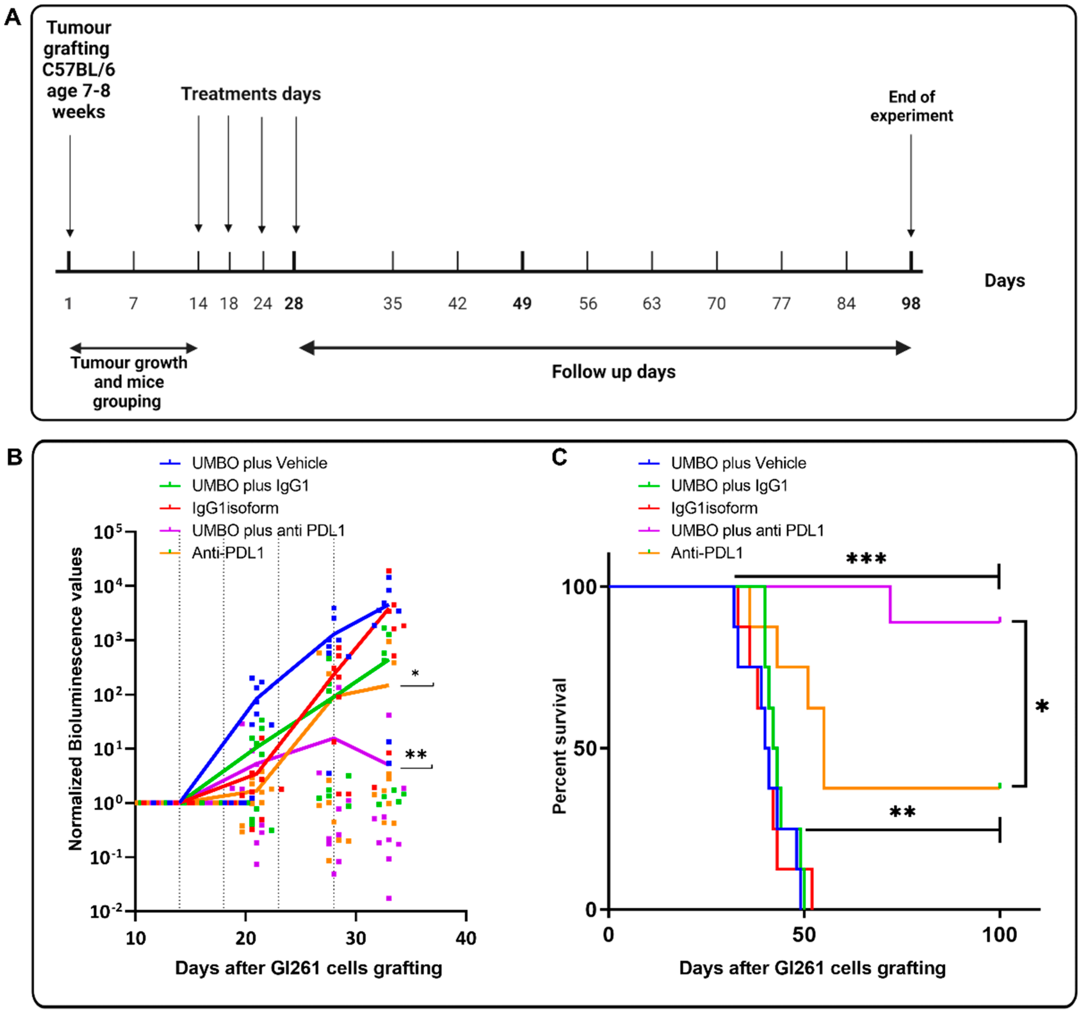 Pharmaceutics 15 00455 g003