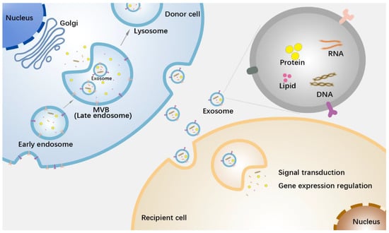 Pharmaceutics 15 00462 g001