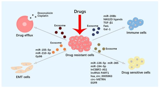 Pharmaceutics 15 00462 g002