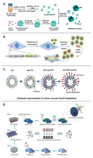 Pharmaceutics 15 00462 g003