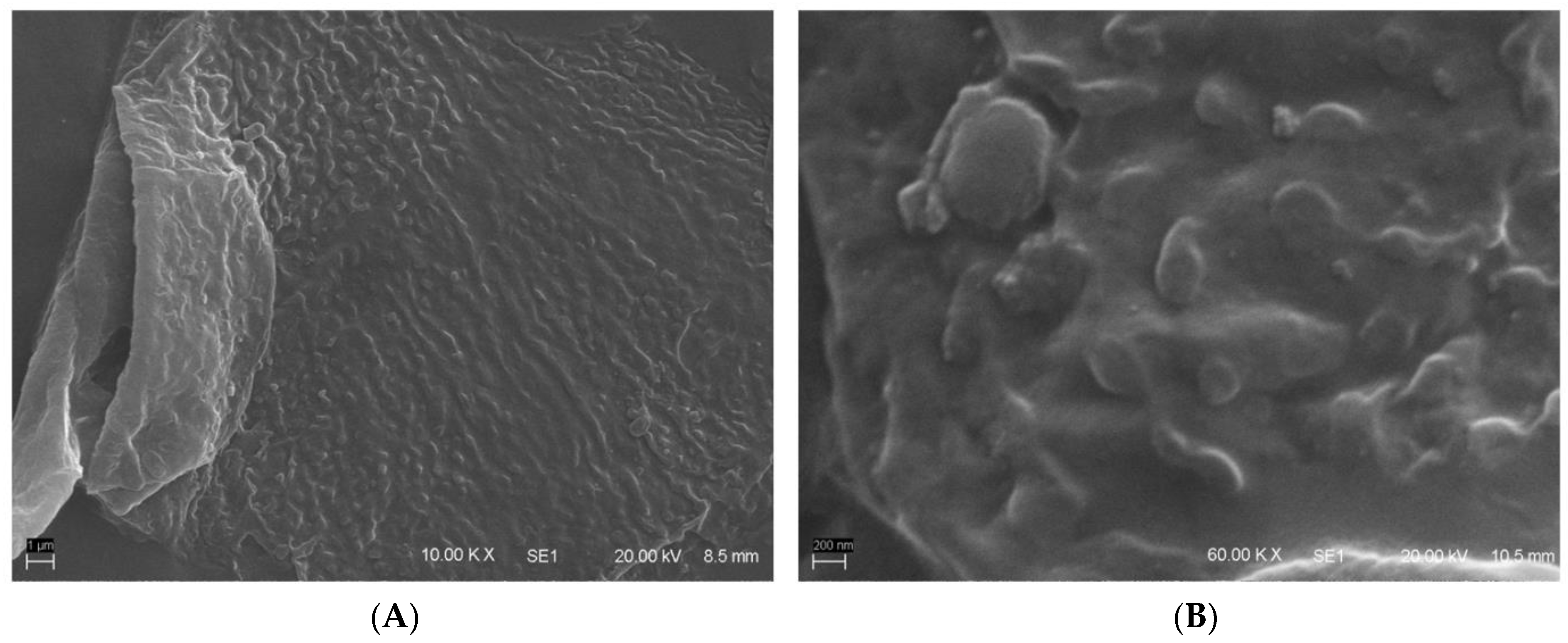 Pharmaceutics 15 00468 g001