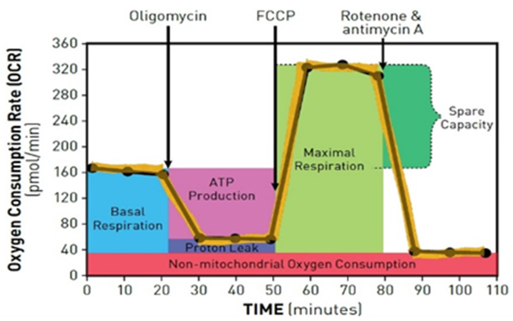 Pharmaceutics 15 00471 g002 Pharmaceutics 15 00471 g002