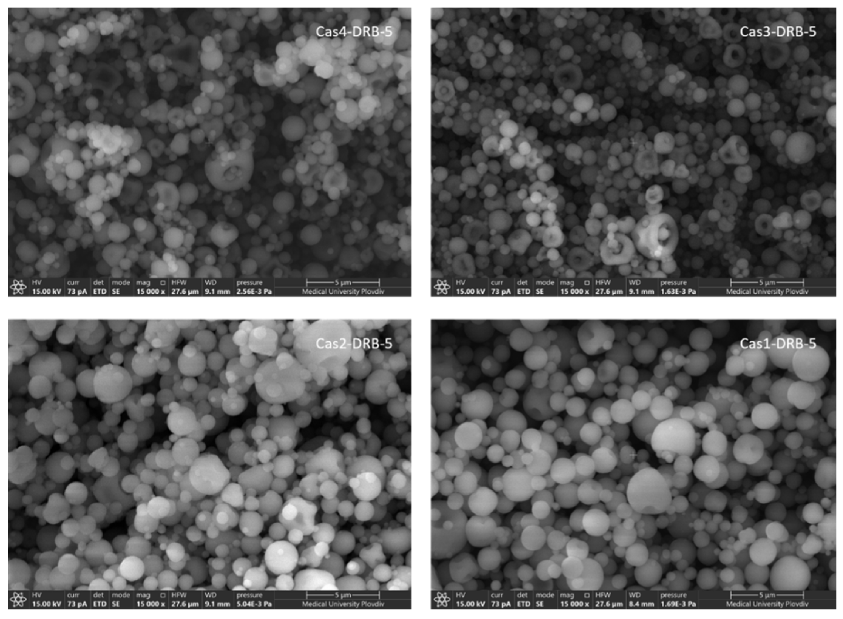 Pharmaceutics 15 00471 g003 Pharmaceutics 15 00471 g003
