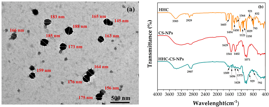 Pharmaceutics 15 00472 g002 Pharmaceutics 15 00472 g002