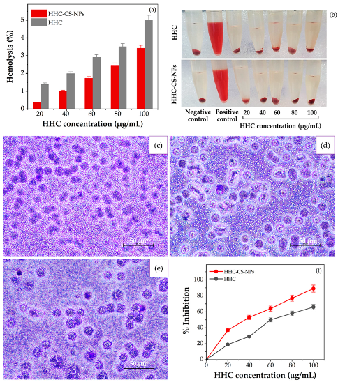 Pharmaceutics 15 00472 g007 Pharmaceutics 15 00472 g007
