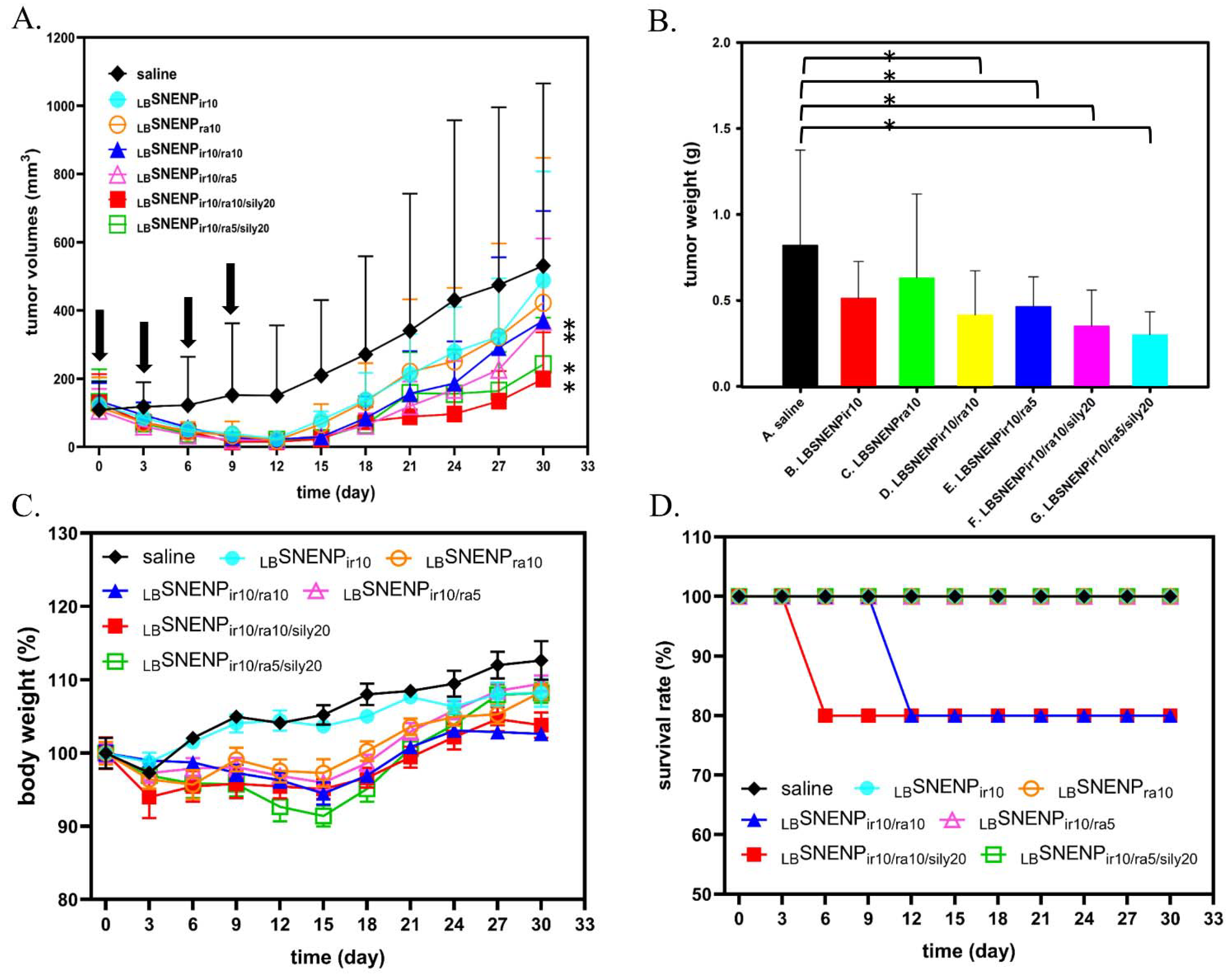 Pharmaceutics 15 00473 g003
