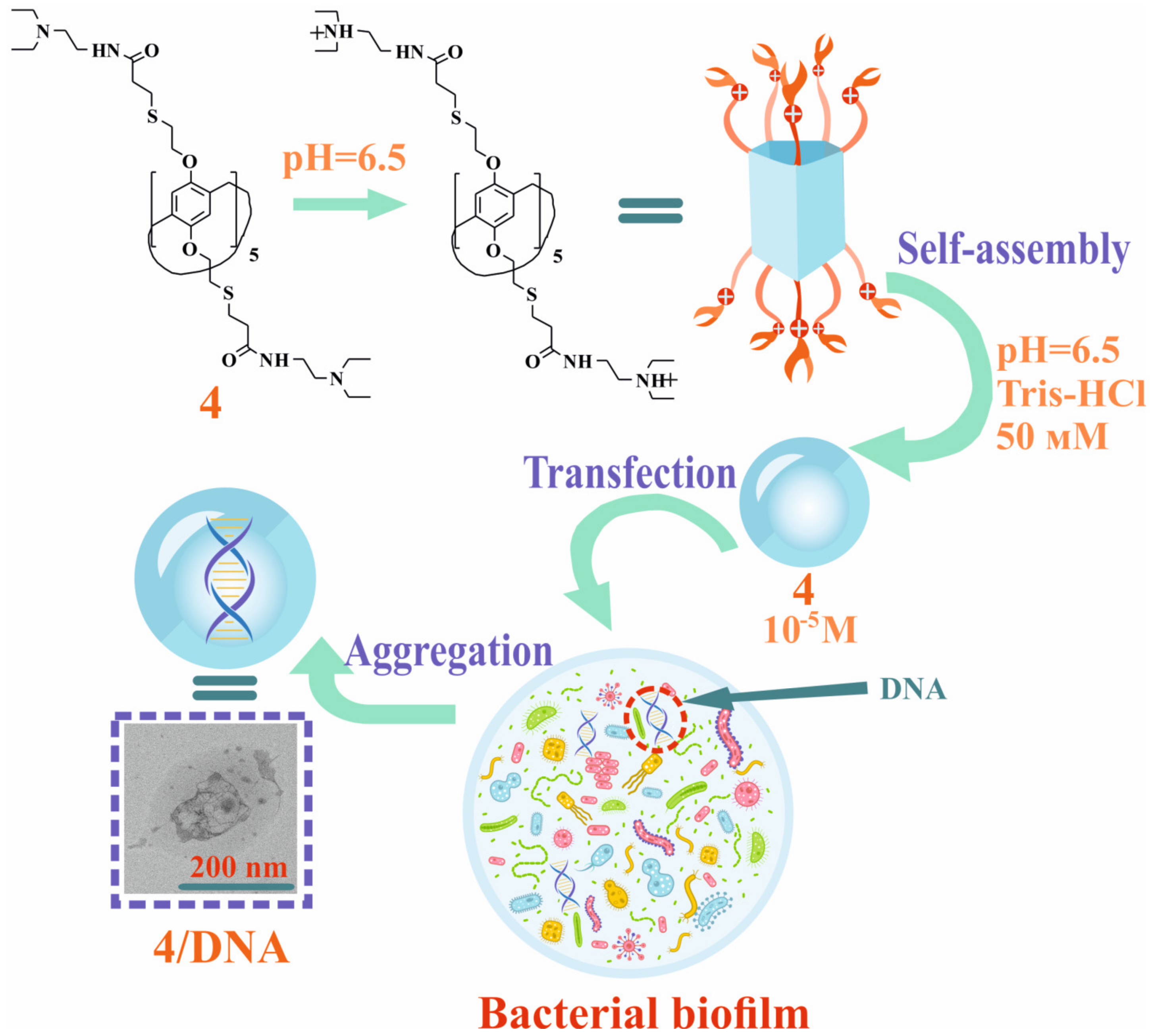 Pharmaceutics 15 00476 g001 Pharmaceutics 15 00476 g001