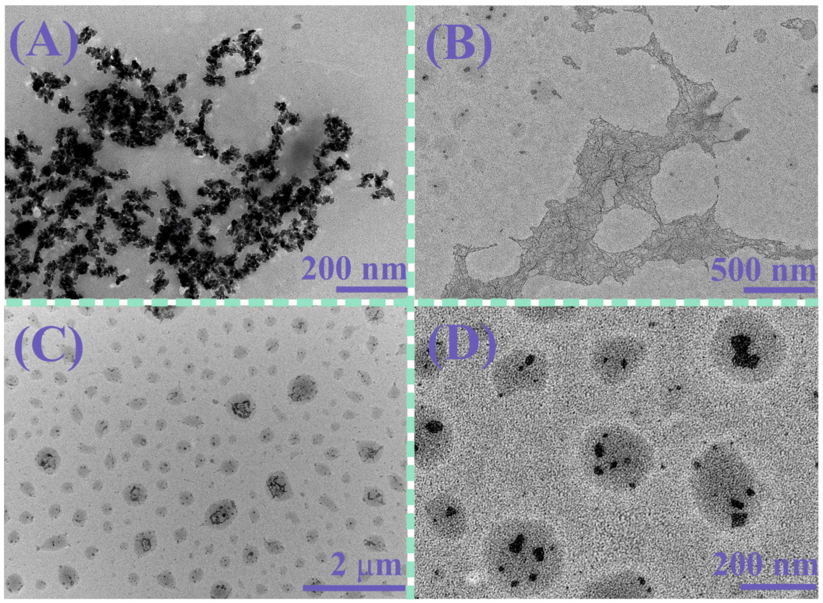 Pharmaceutics 15 00476 g004 Pharmaceutics 15 00476 g004