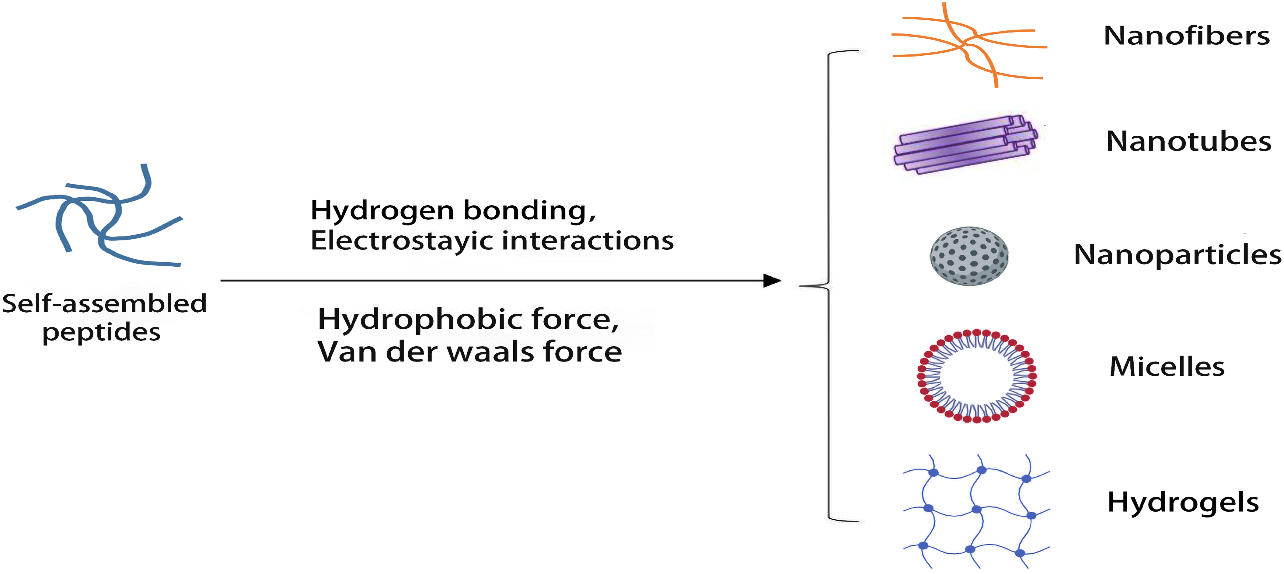 Pharmaceutics 15 00482 g001