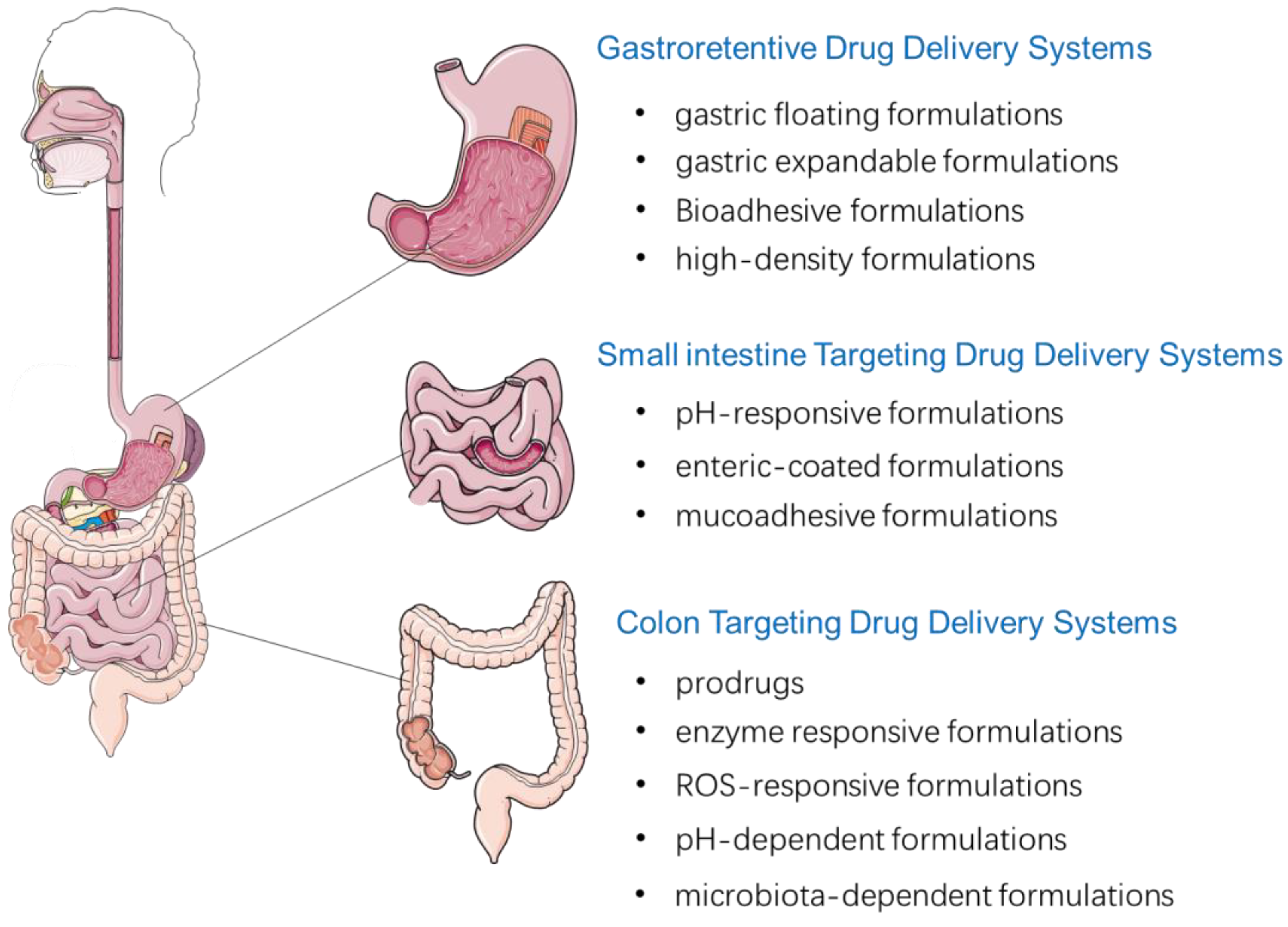 Pharmaceutics 15 00484 g001
