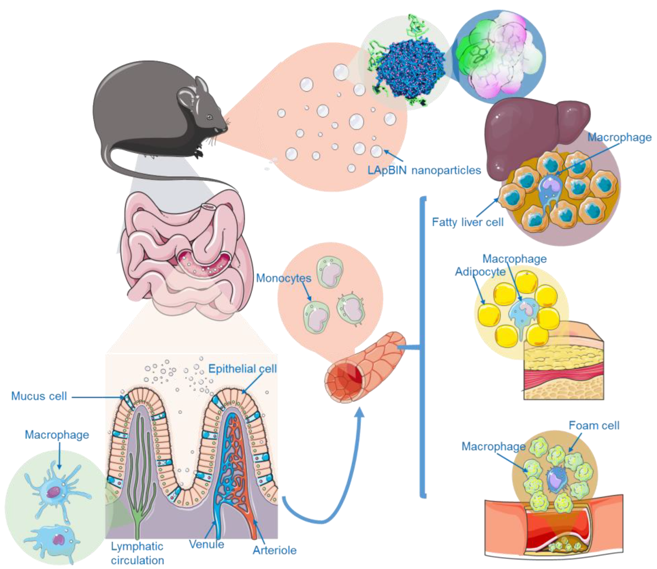 Pharmaceutics 15 00484 g006