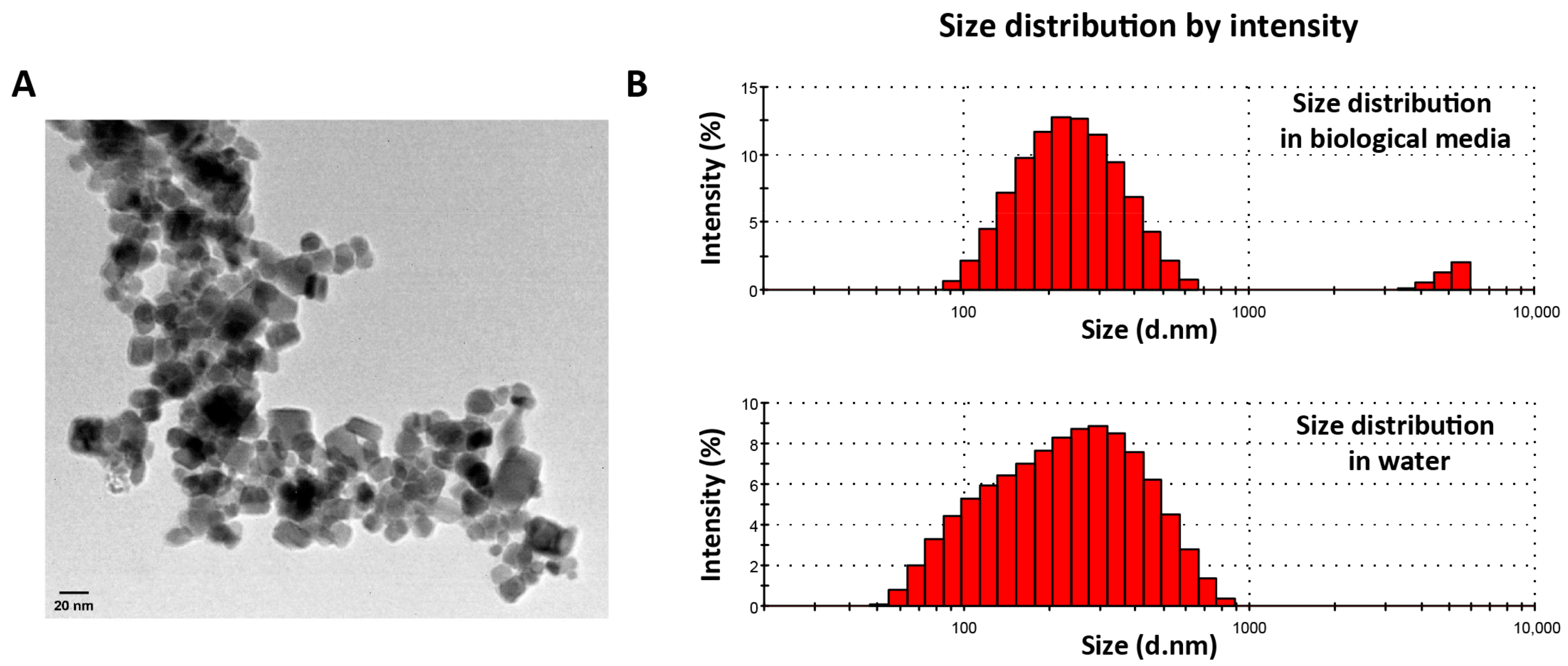 Pharmaceutics 15 00488 g001 Pharmaceutics 15 00488 g001