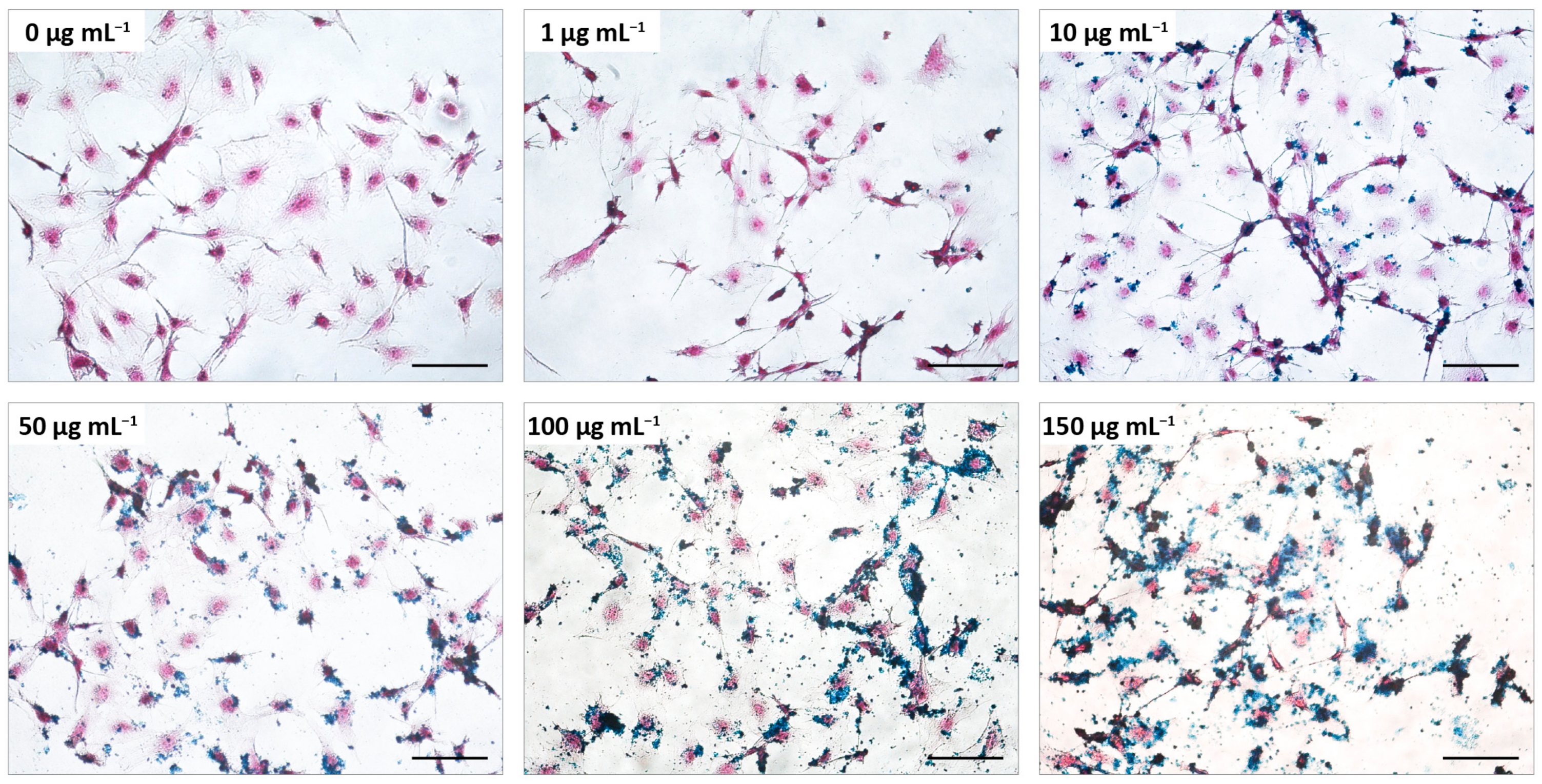 Pharmaceutics 15 00488 g002 Pharmaceutics 15 00488 g002