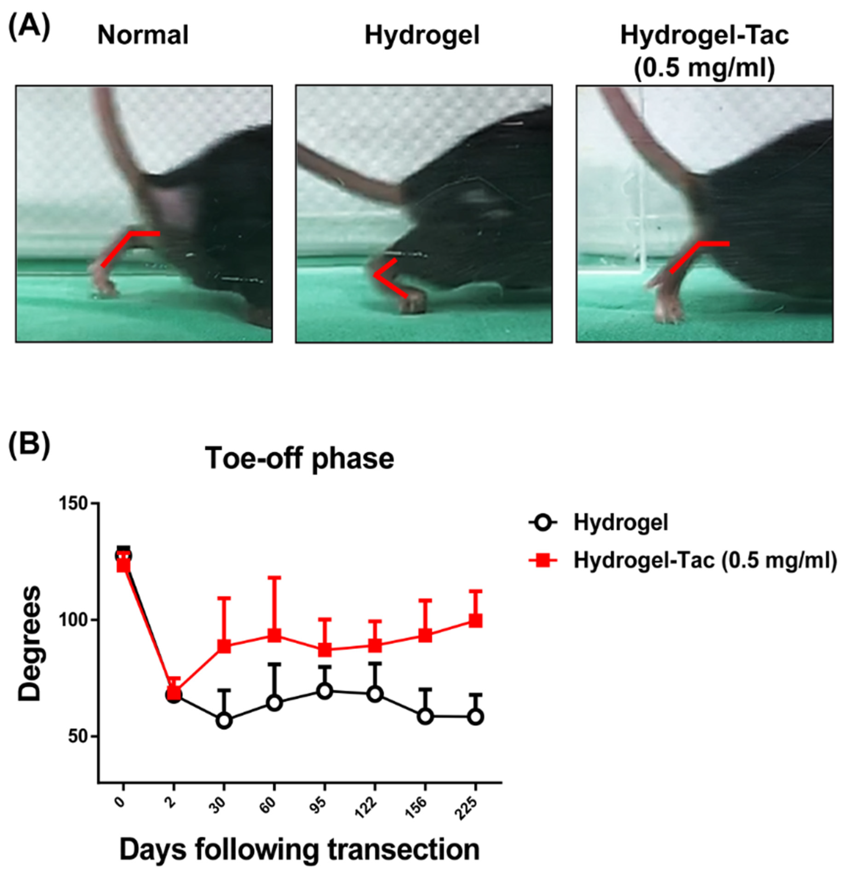 Pharmaceutics 15 00508 g005