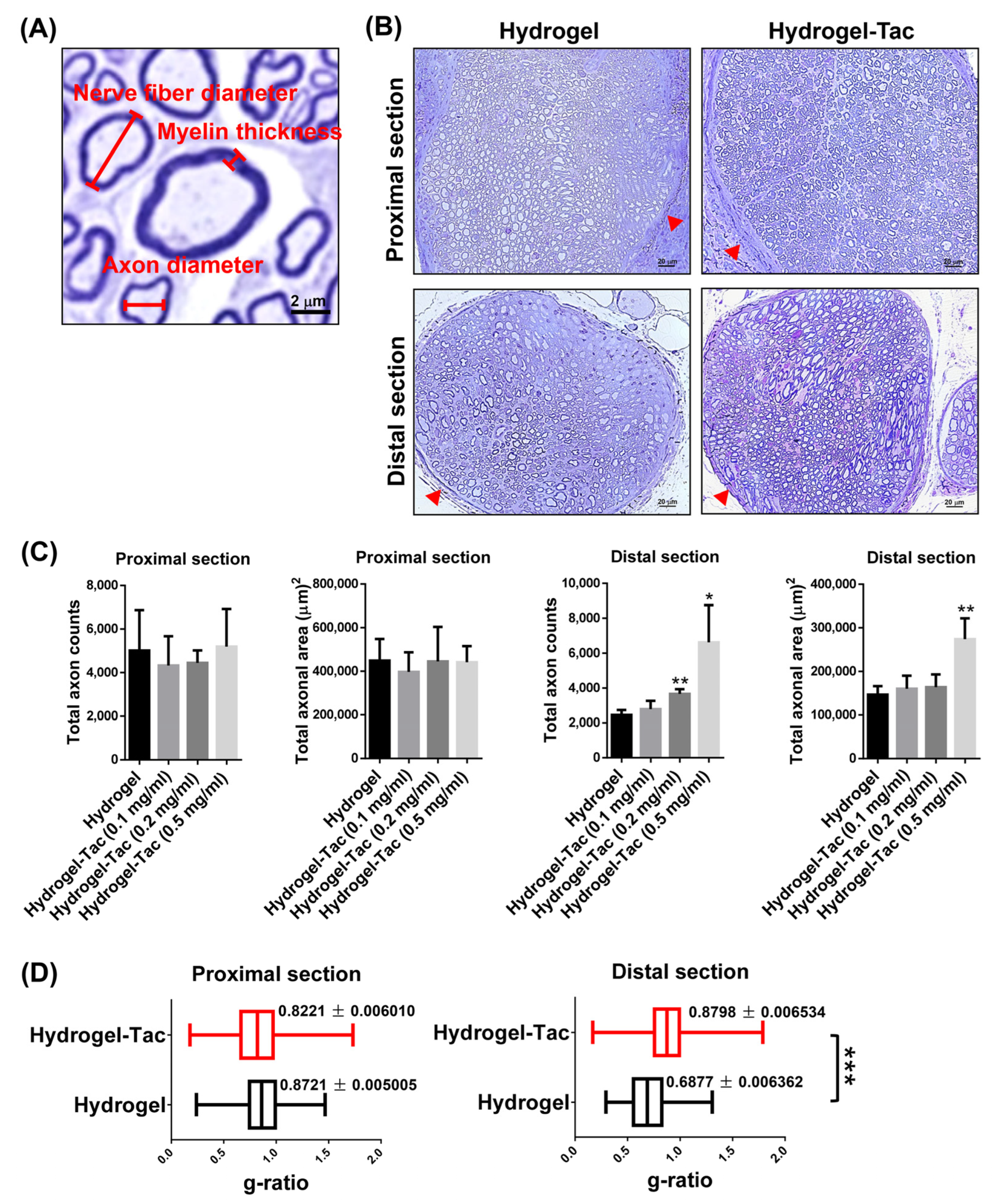 Pharmaceutics 15 00508 g006