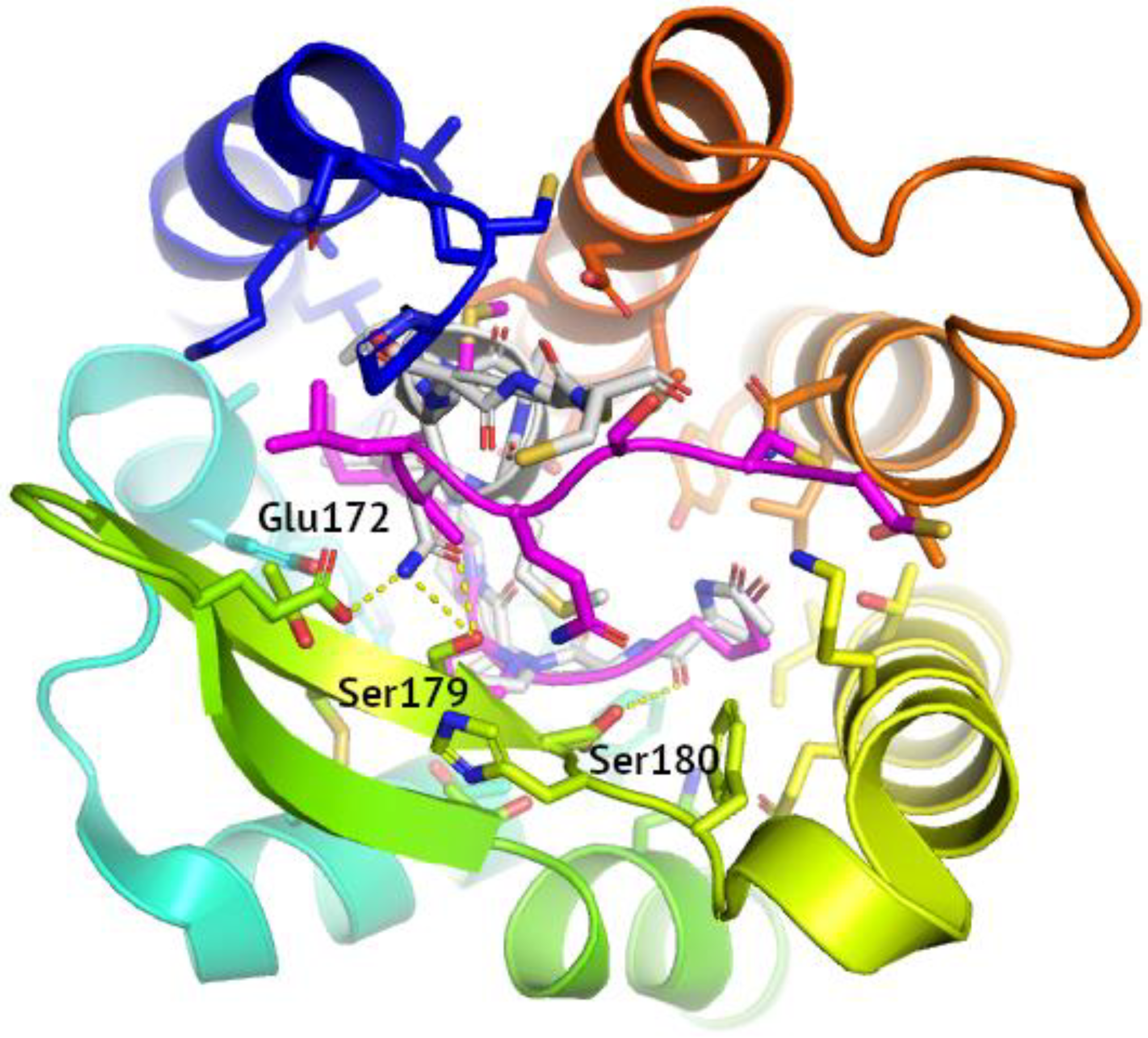 Pharmaceutics 15 00516 g002