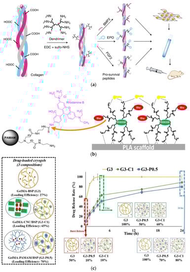 Pharmaceutics 15 00524 g006