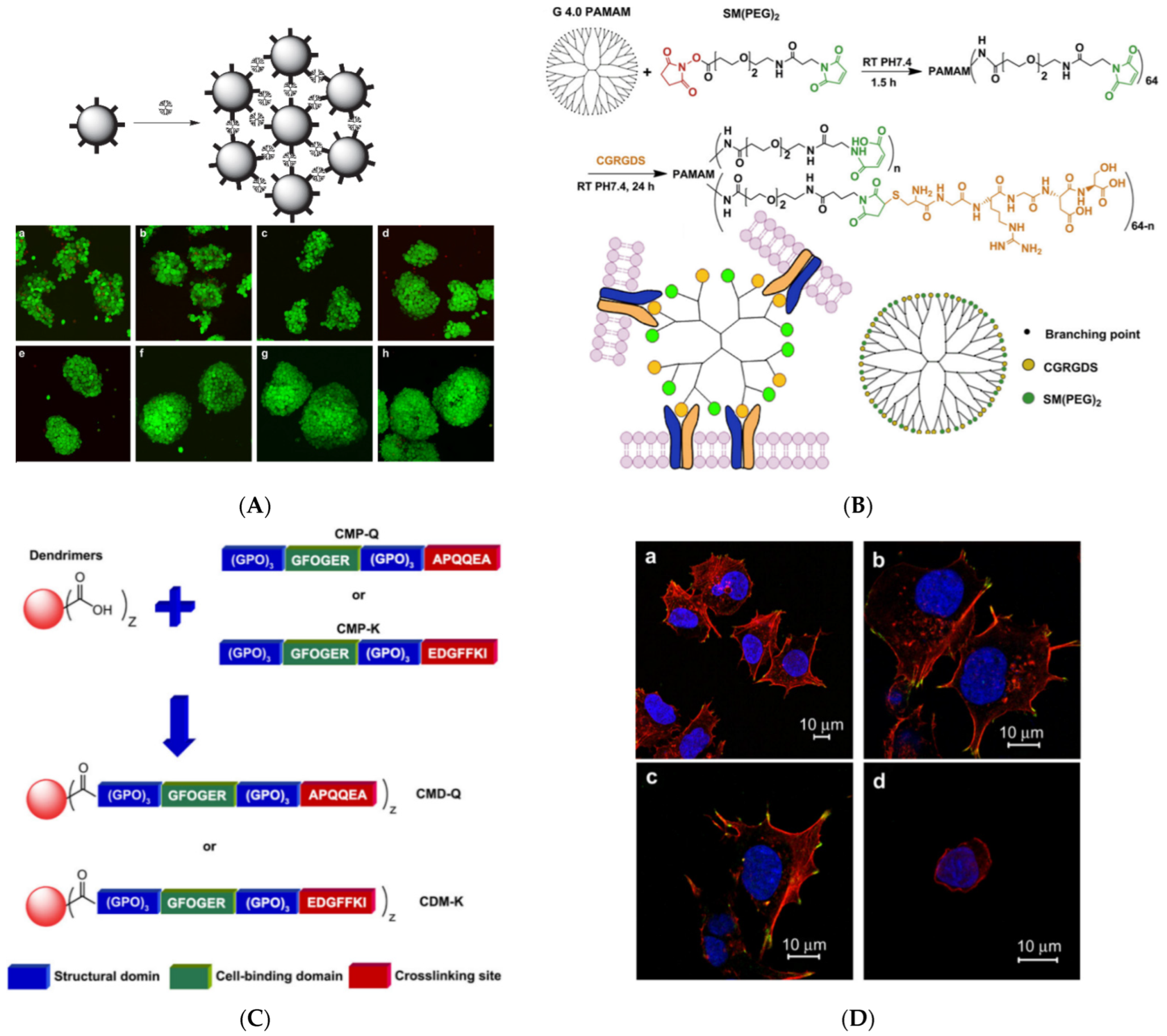 Pharmaceutics 15 00524 g010 Pharmaceutics 15 00524 g010