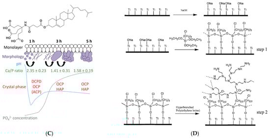 Pharmaceutics 15 00524 g012b