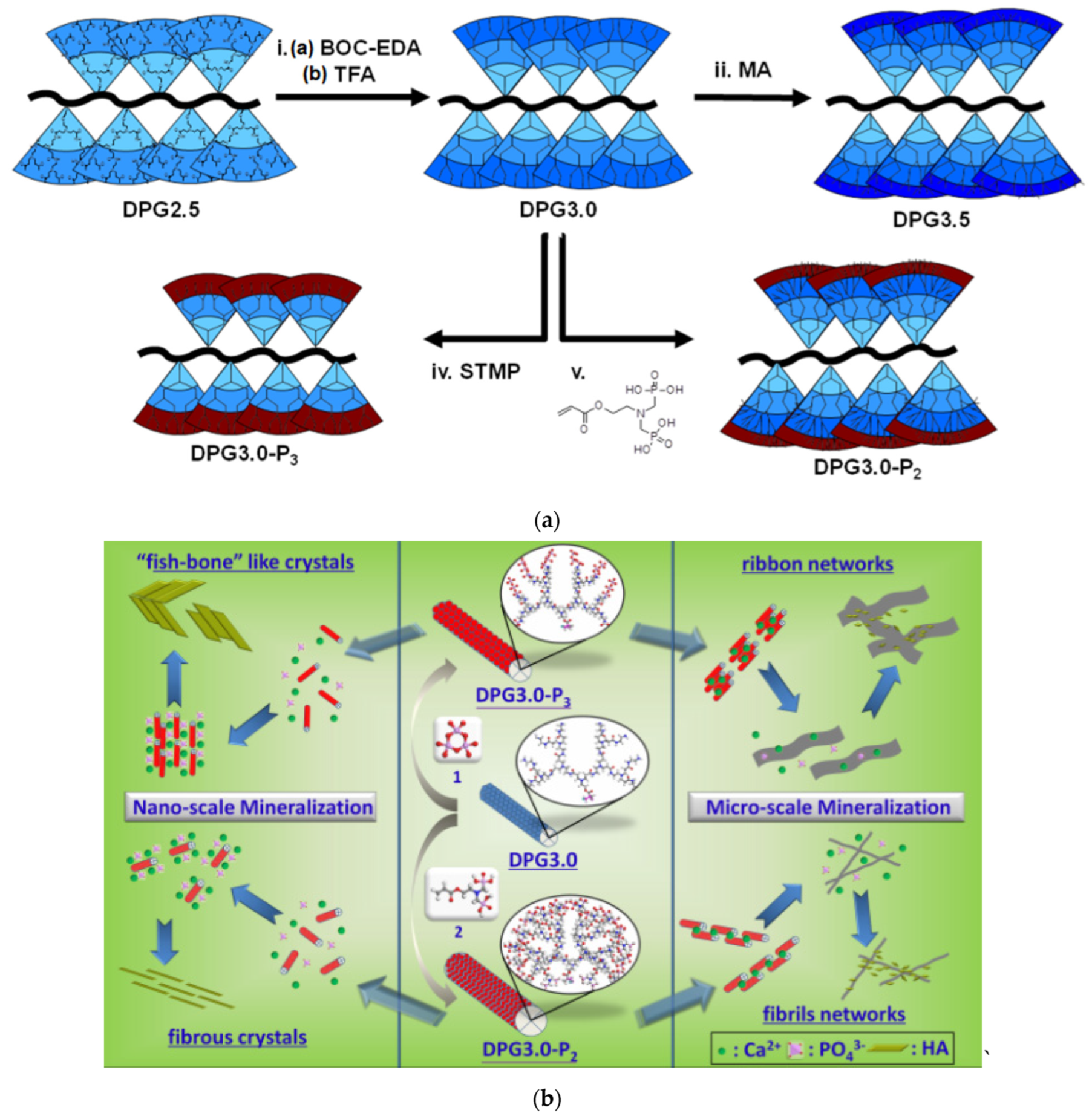 Pharmaceutics 15 00524 g013 Pharmaceutics 15 00524 g013