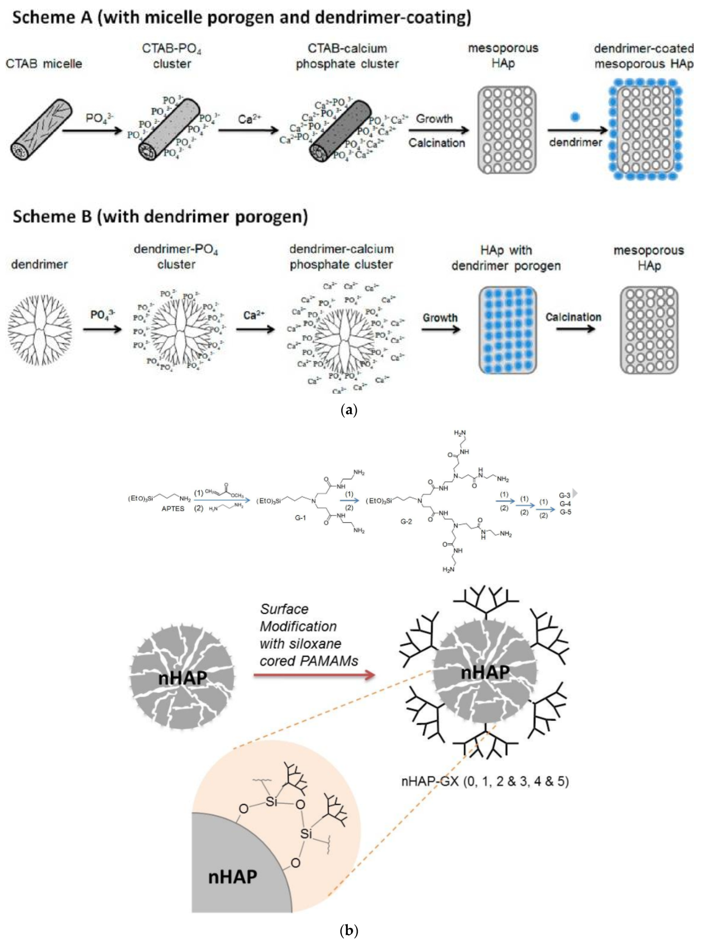 Pharmaceutics 15 00524 g014 Pharmaceutics 15 00524 g014