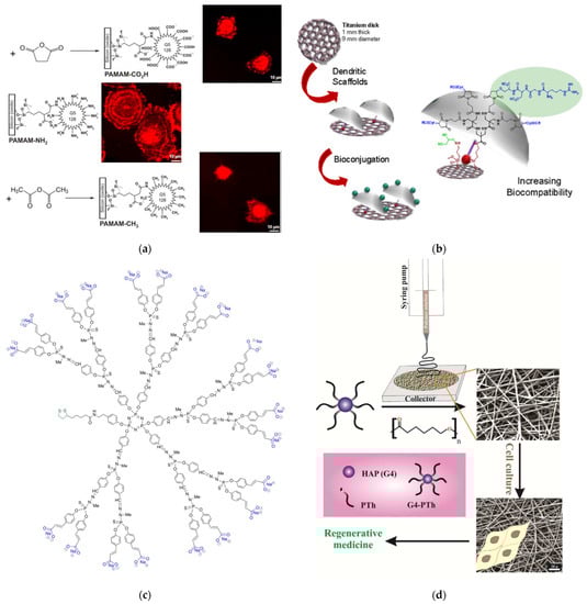 Pharmaceutics 15 00524 g015