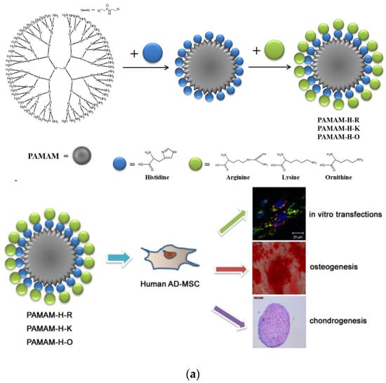 Pharmaceutics 15 00524 g016a