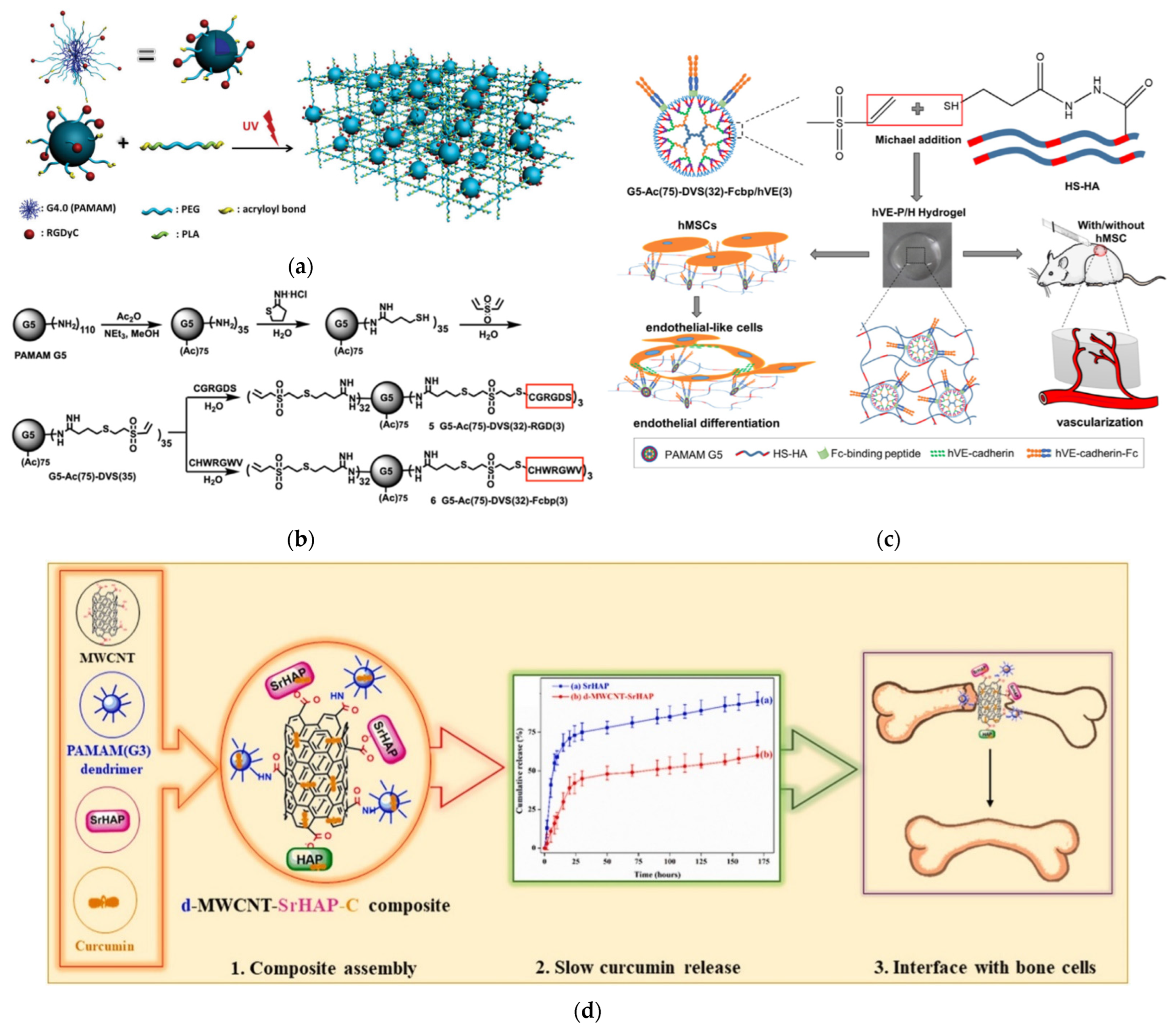 Pharmaceutics 15 00524 g017 Pharmaceutics 15 00524 g017
