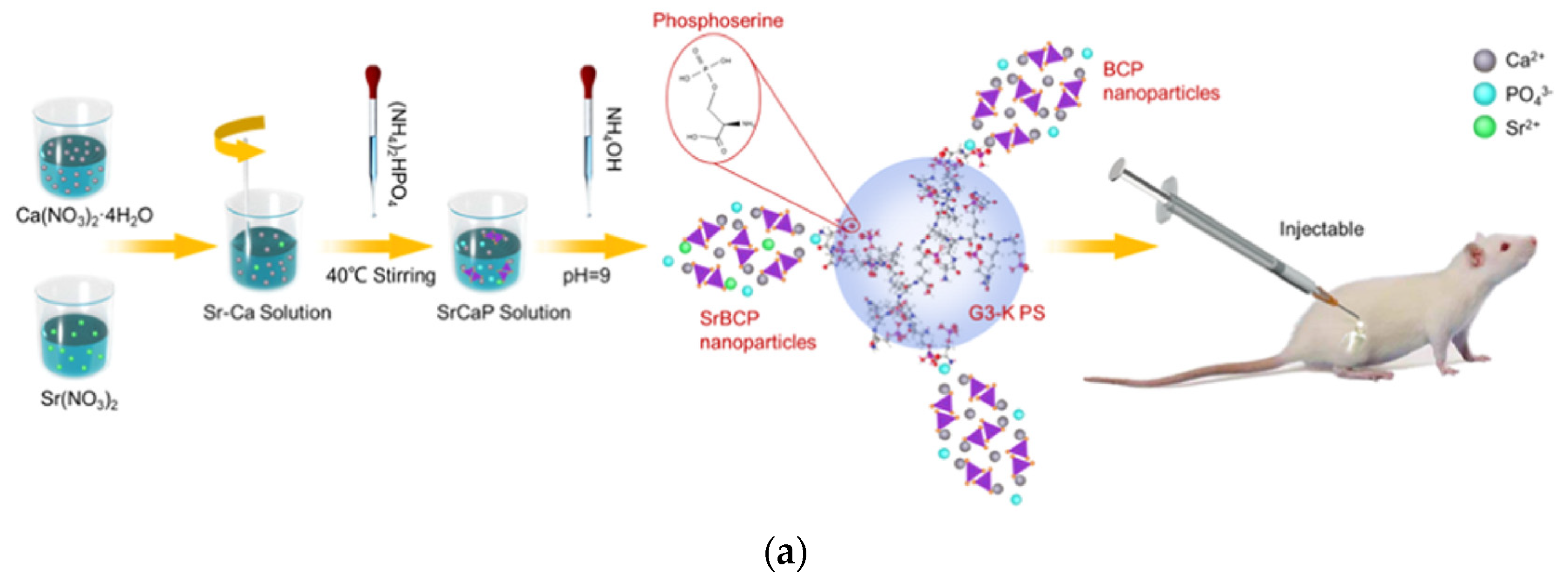 Pharmaceutics 15 00524 g018a Pharmaceutics 15 00524 g018a