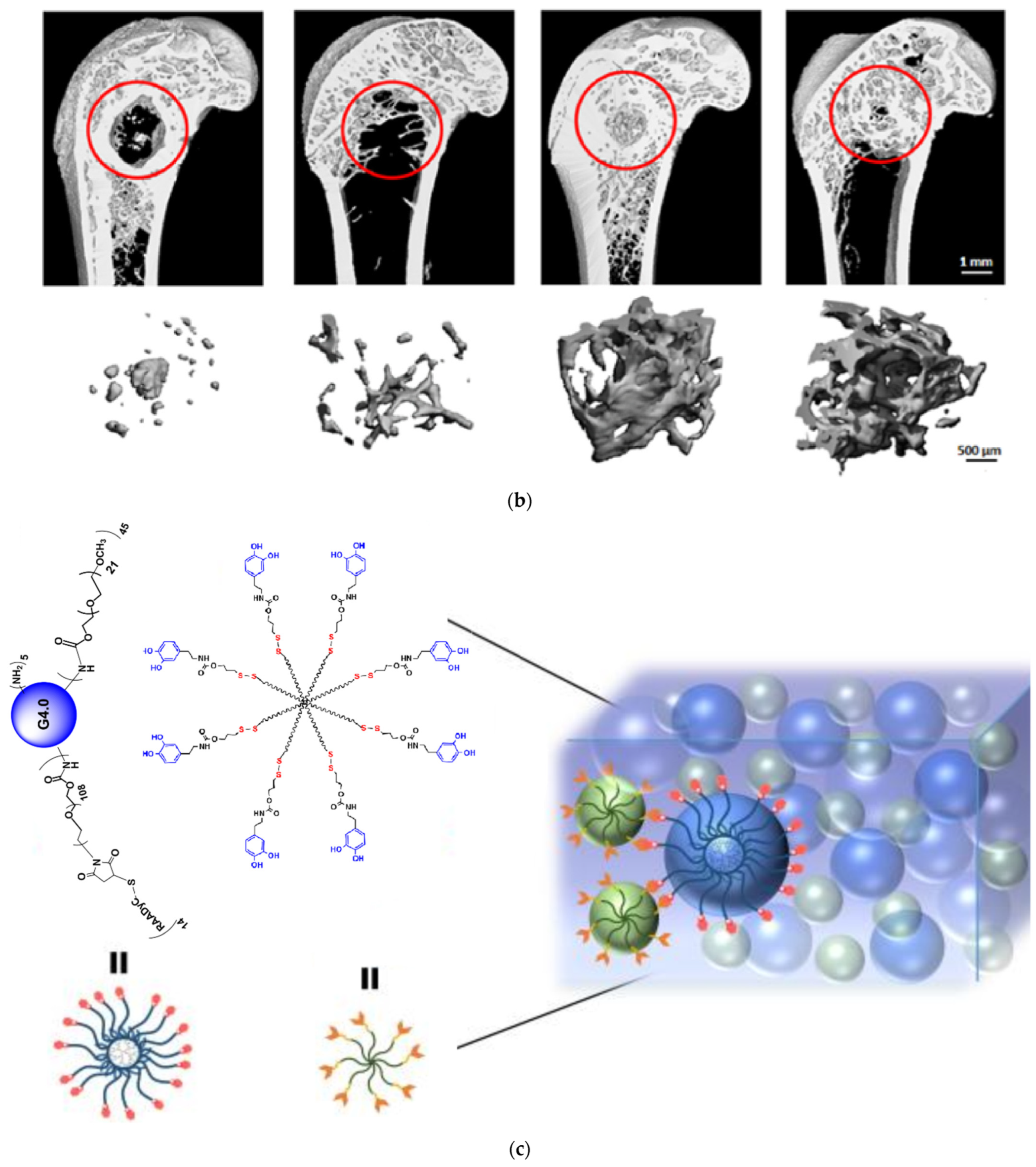 Pharmaceutics 15 00524 g018b Pharmaceutics 15 00524 g018b