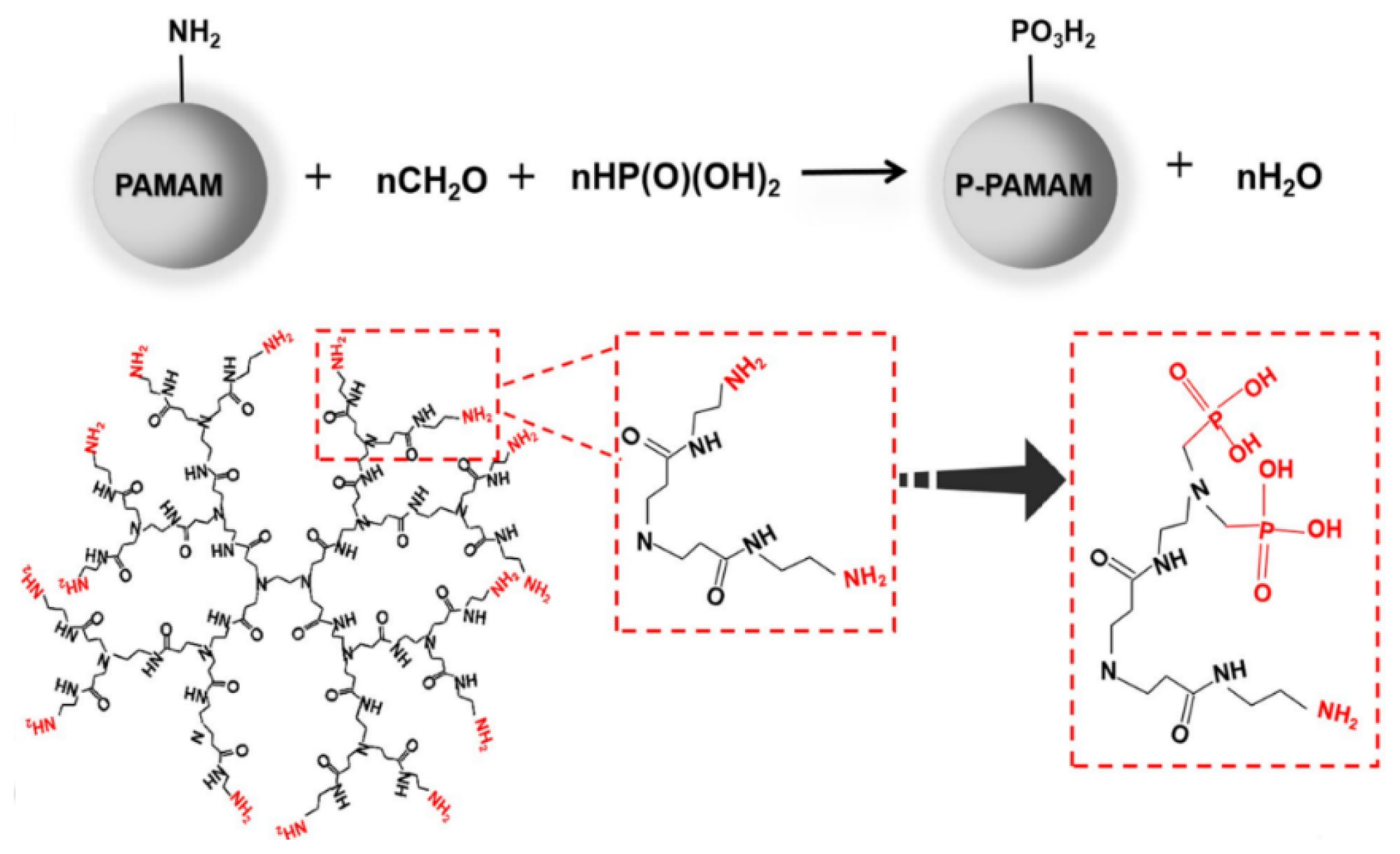 Pharmaceutics 15 00524 g019 Pharmaceutics 15 00524 g019