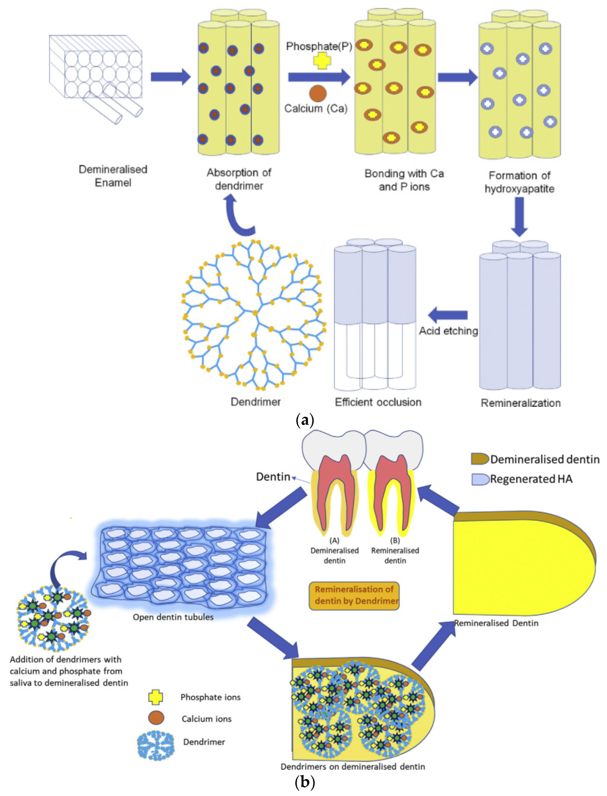 Pharmaceutics 15 00524 g020 Pharmaceutics 15 00524 g020