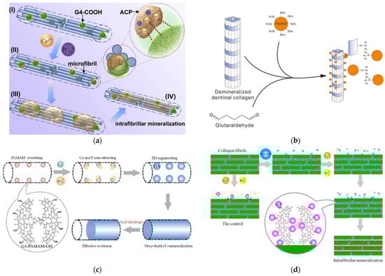 Pharmaceutics 15 00524 g021