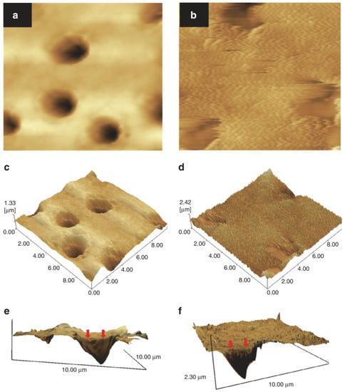 Pharmaceutics 15 00524 g022