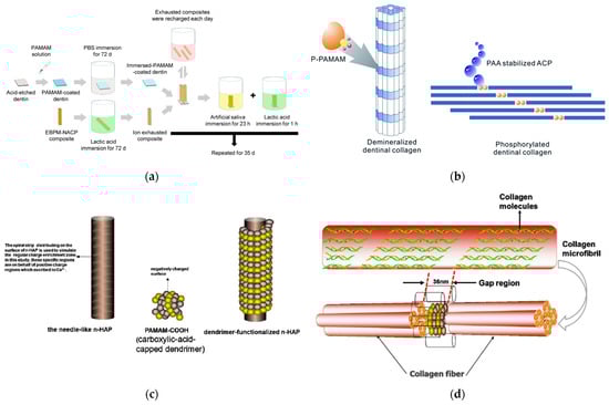 Pharmaceutics 15 00524 g023