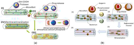 Pharmaceutics 15 00524 g024